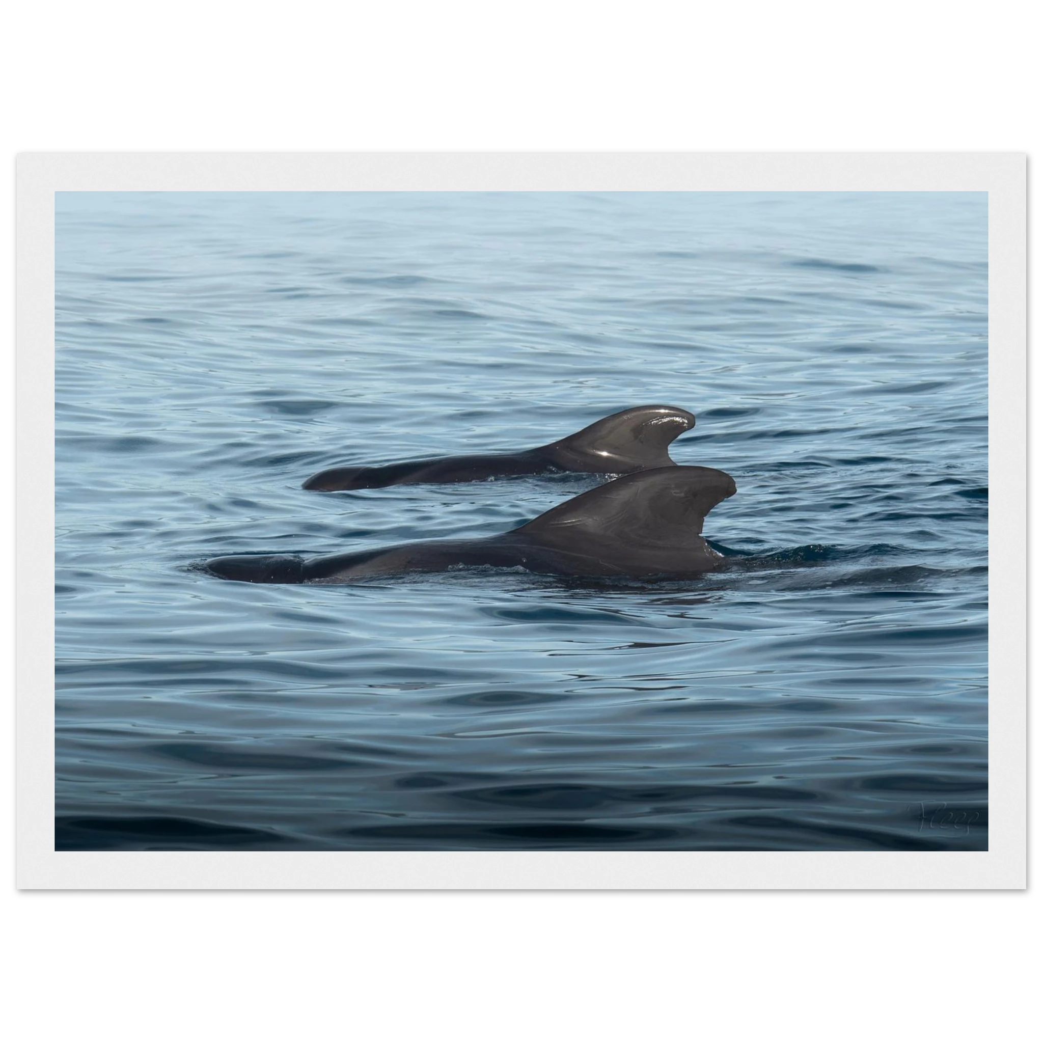 ae8fcf11-9f52-47de-b393-e0fc53710239