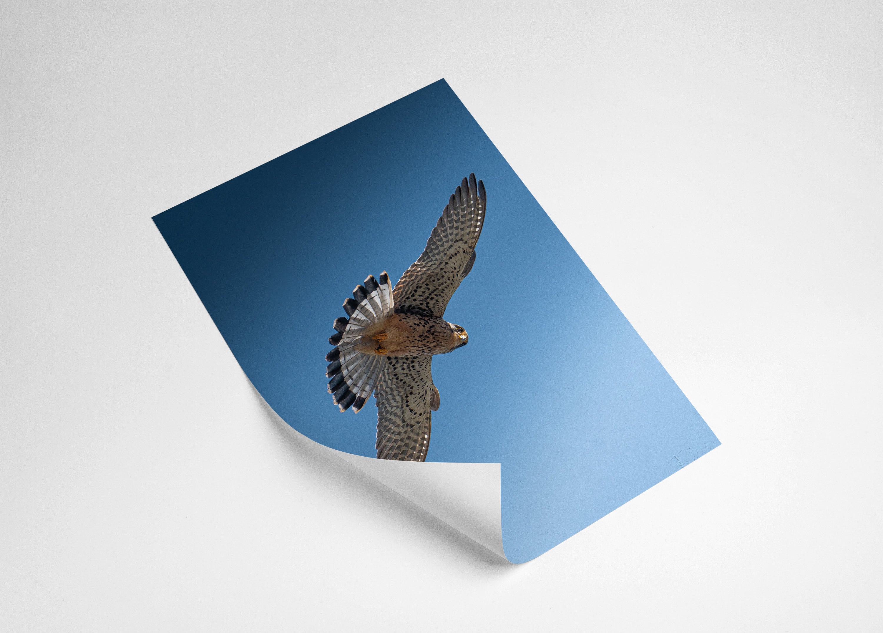 b00755a9-fb99-45f8-a982-d2ebe1df58ad