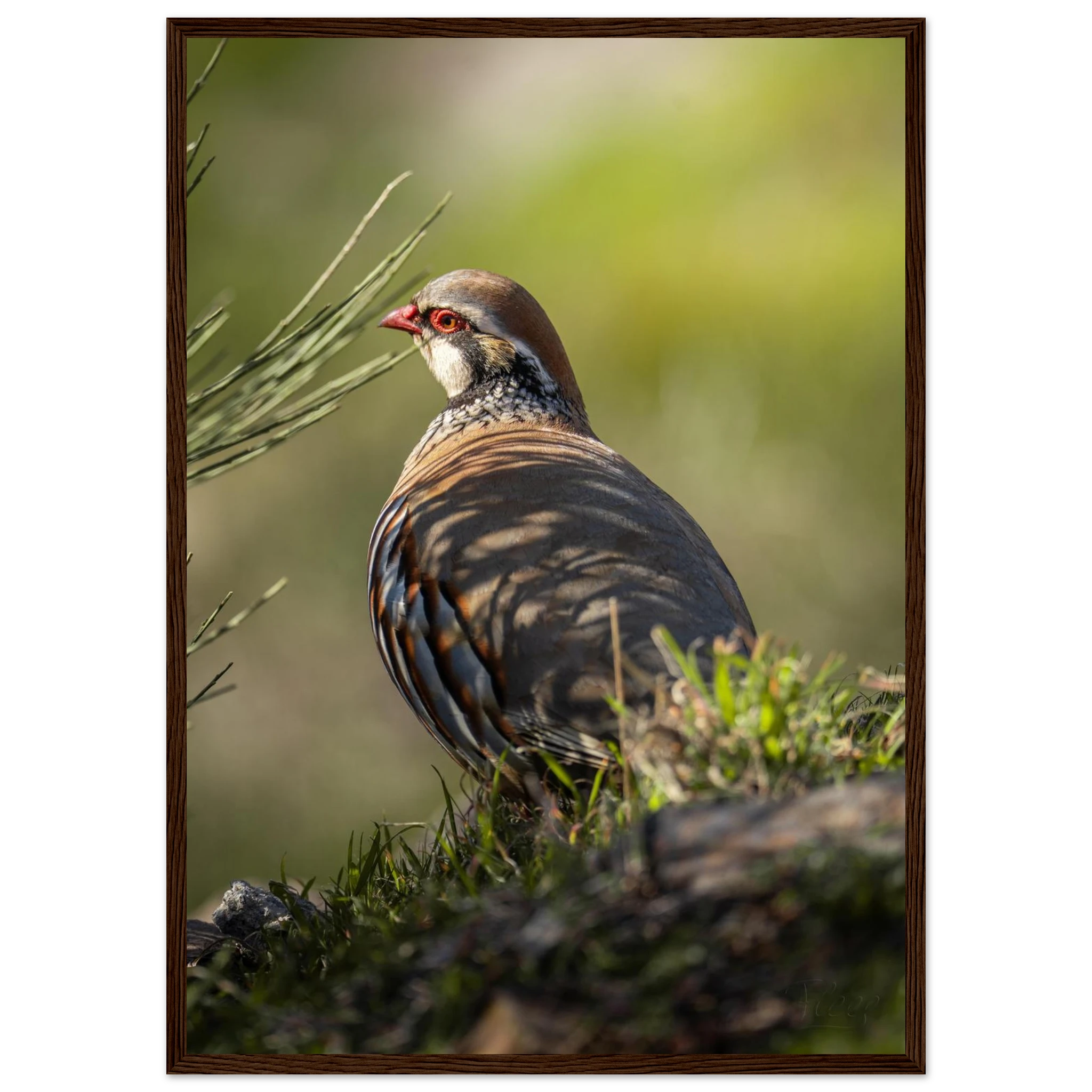 b031aea3-4a04-42b2-859d-1d704d9dc7b6