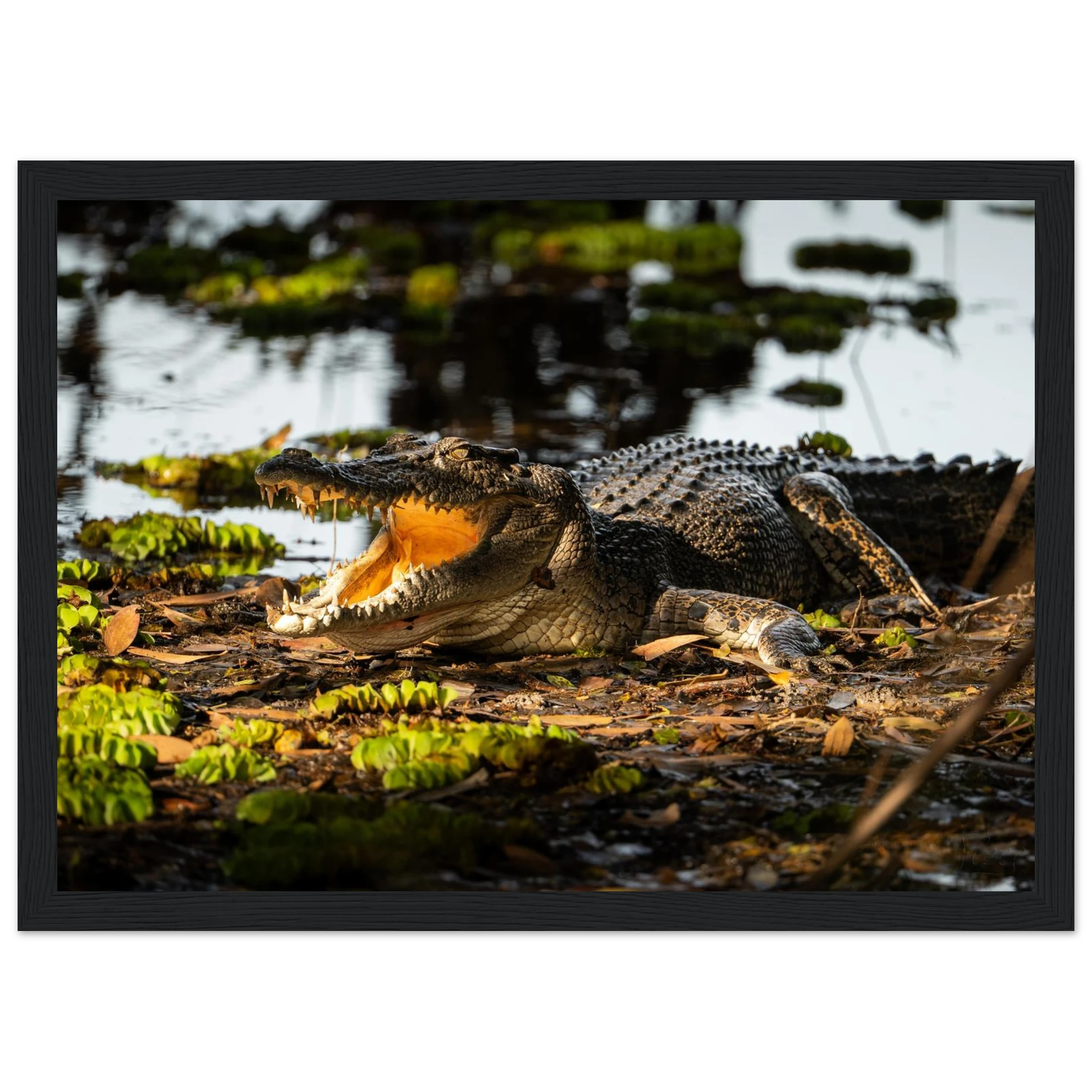 b072229c-2092-47c4-880d-84896efde384