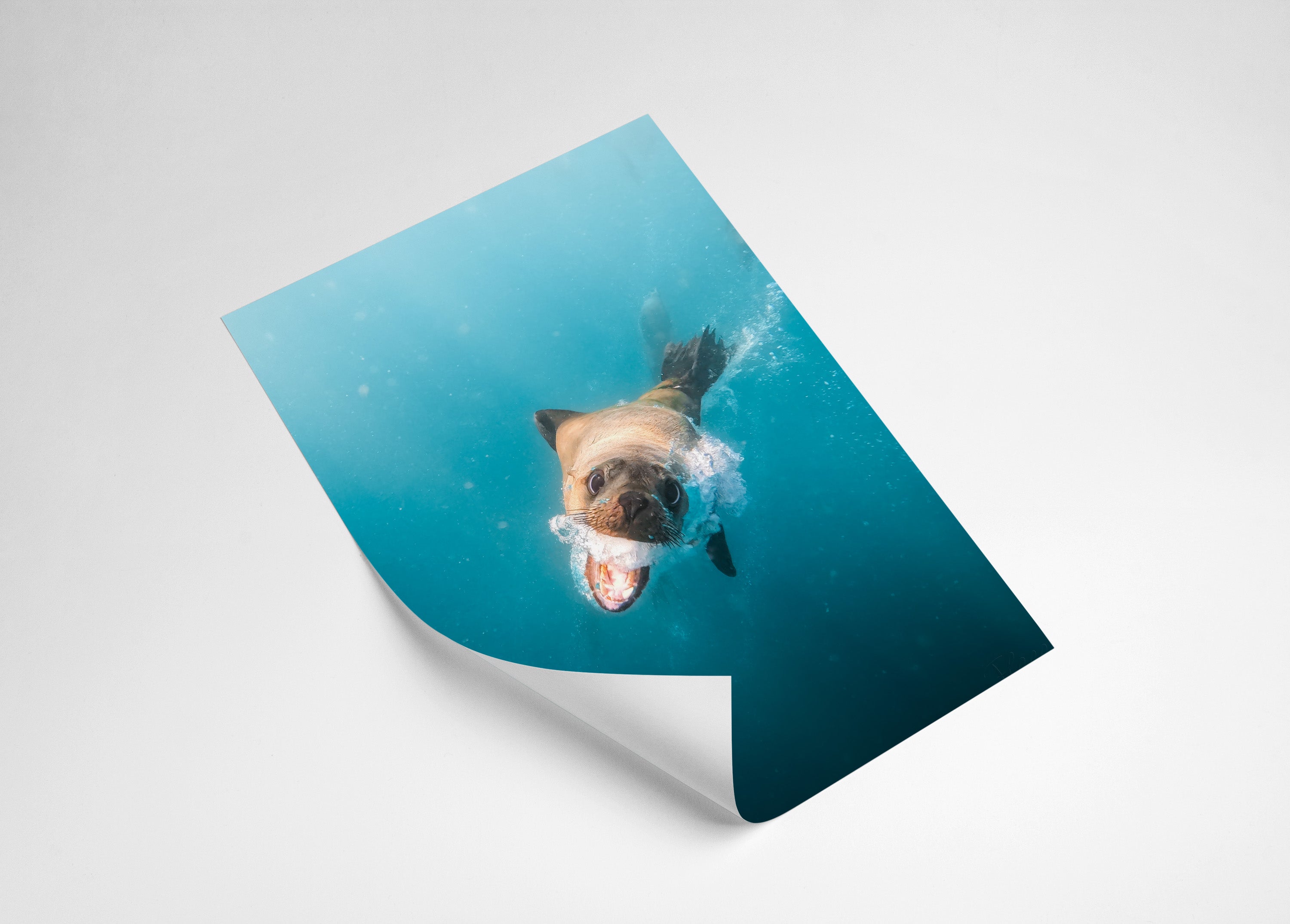 b14e8d20-4682-490a-b938-425fdba7d723