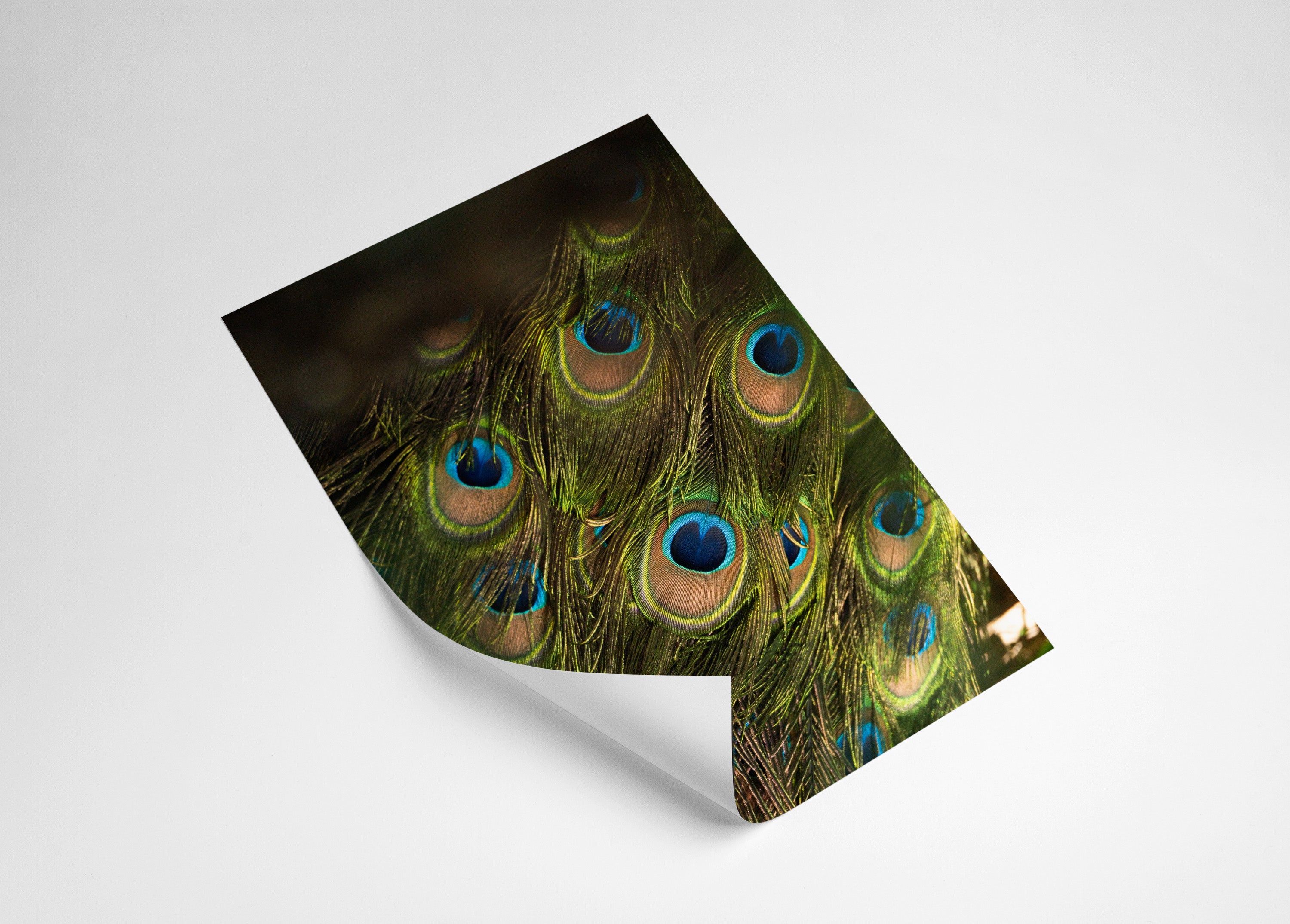 b1bb636a-f6d6-42c3-95bb-53cd2acd3d23