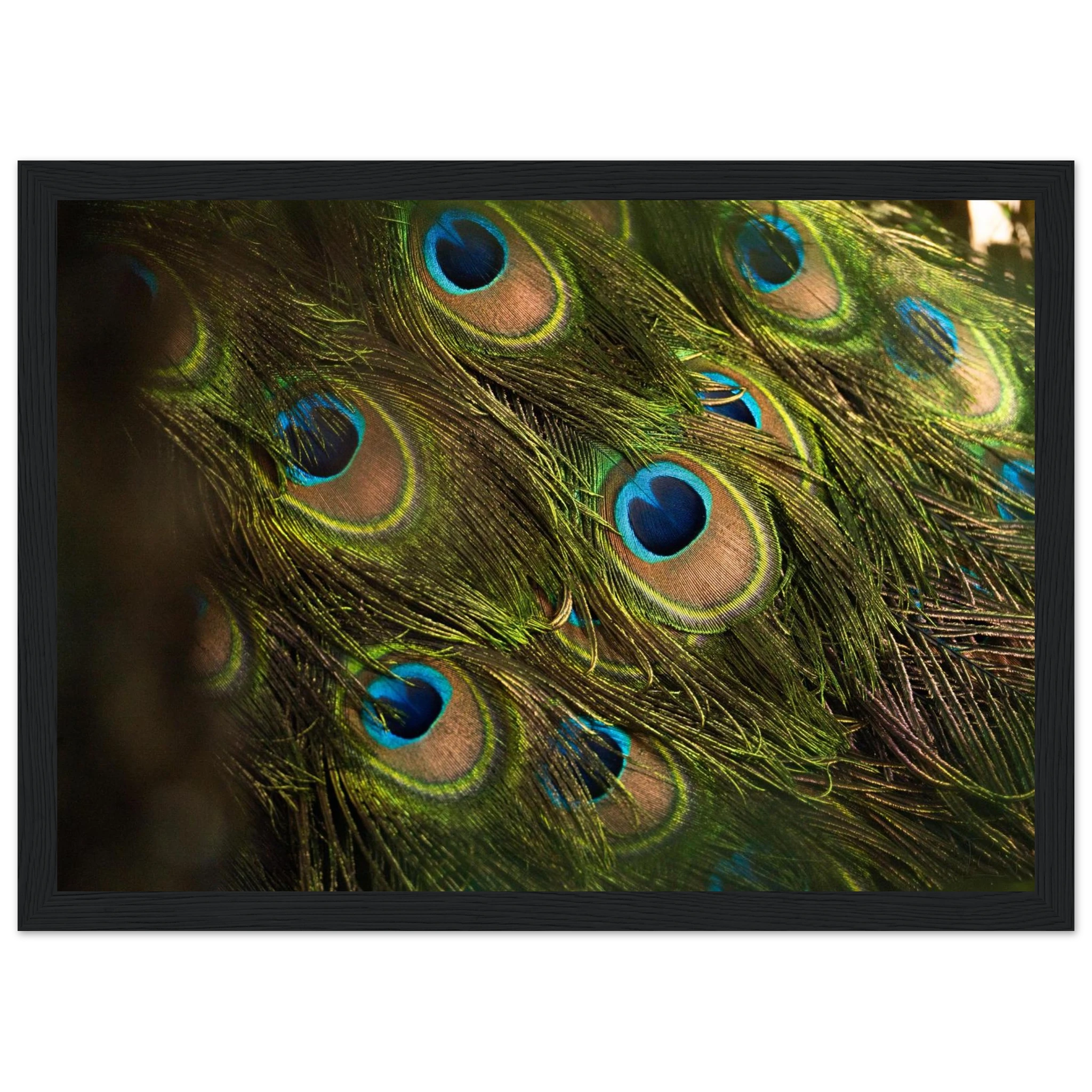 b2972ed8-a391-4917-8736-f9466b538786