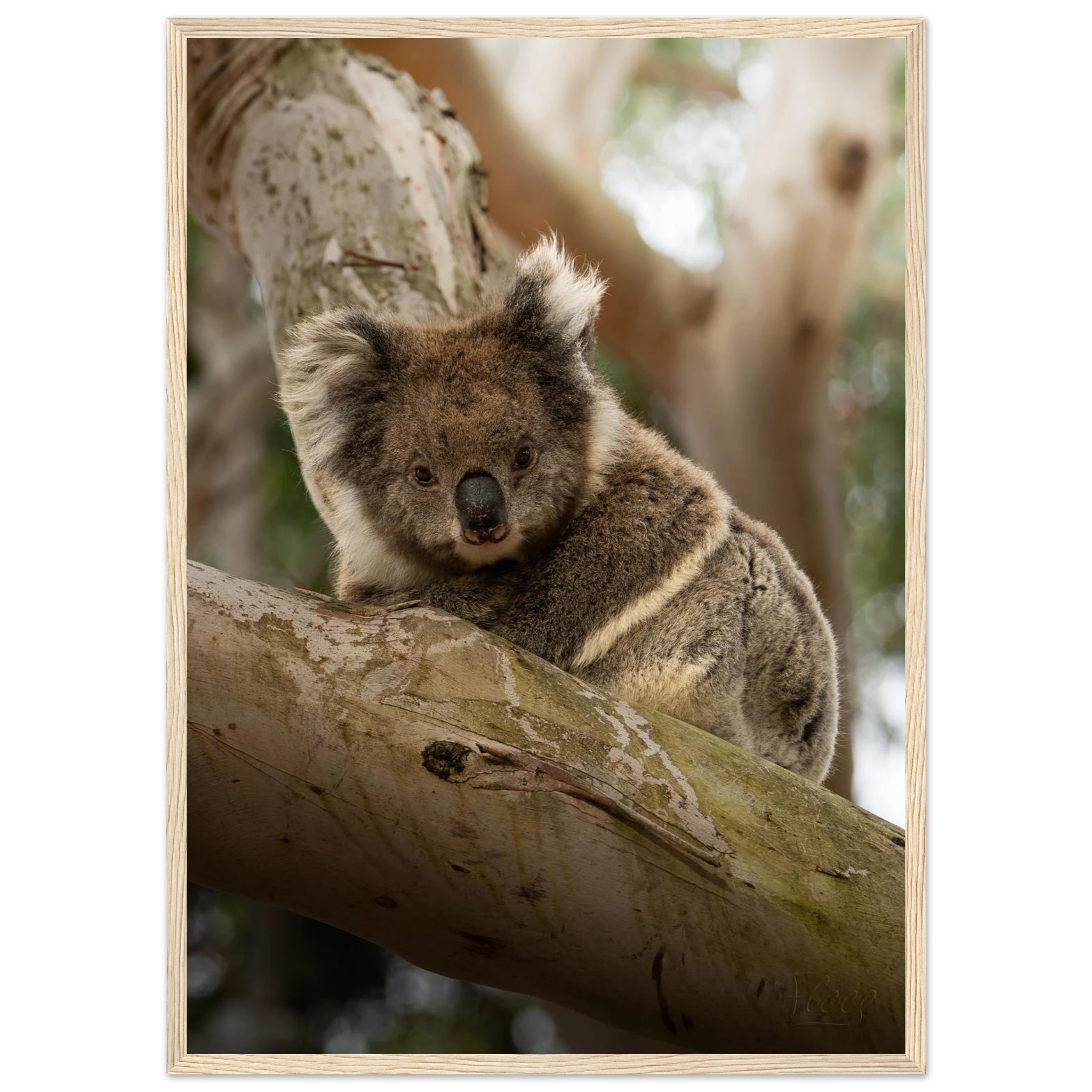 b2a54d56-2875-4807-84ee-cac7c0d2f489