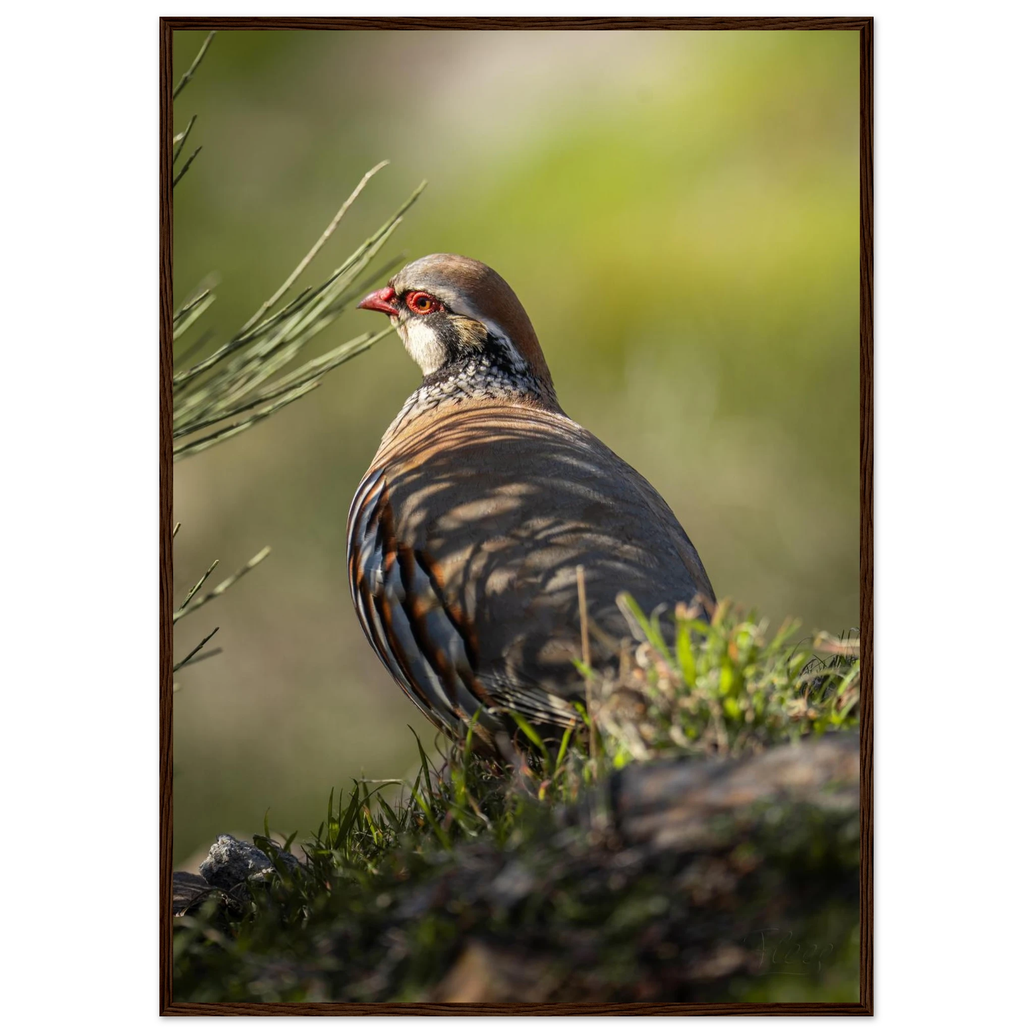 b2ef22ff-5378-4c89-96aa-5e635705f2fc