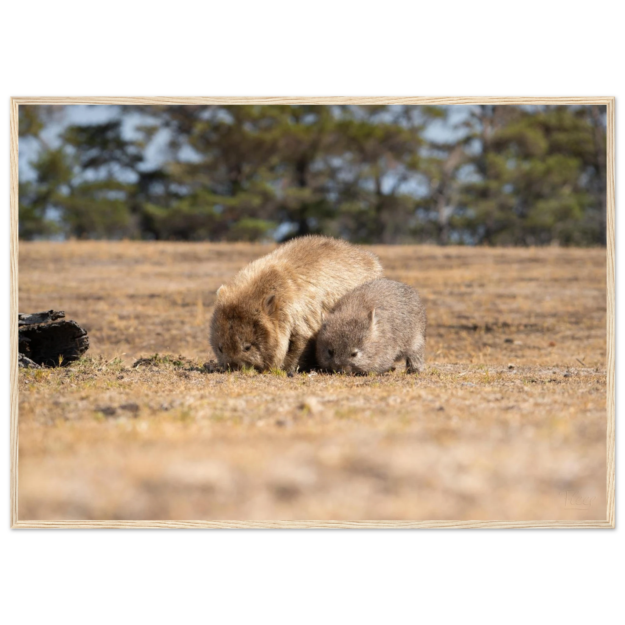 b35c60ea-8165-4962-a452-3242a1a5574b