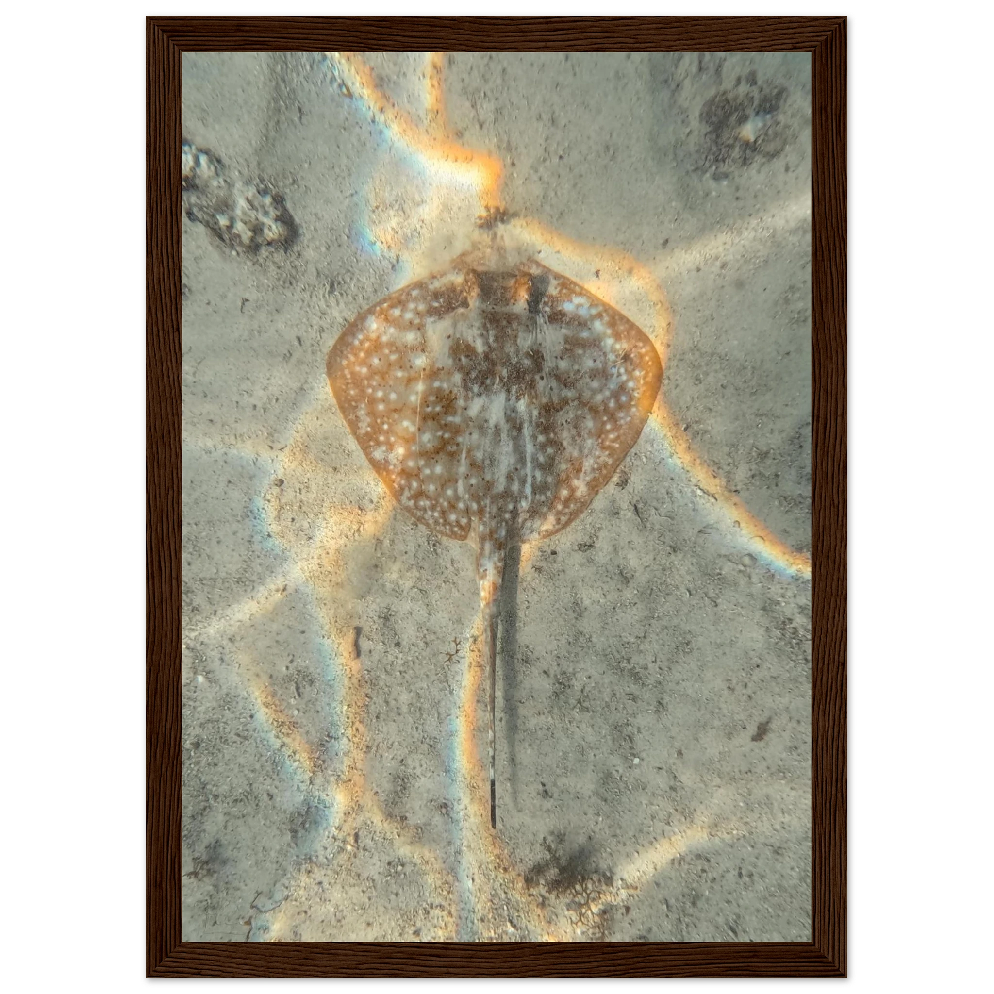 b37381f4-8ce2-47b1-b147-45e01bbee1f2