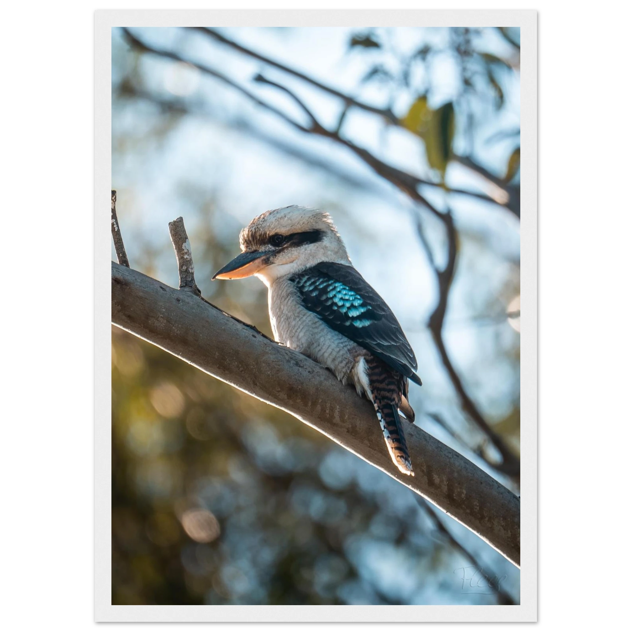 b37d193e-48e2-4c89-bedf-a14e455106c0