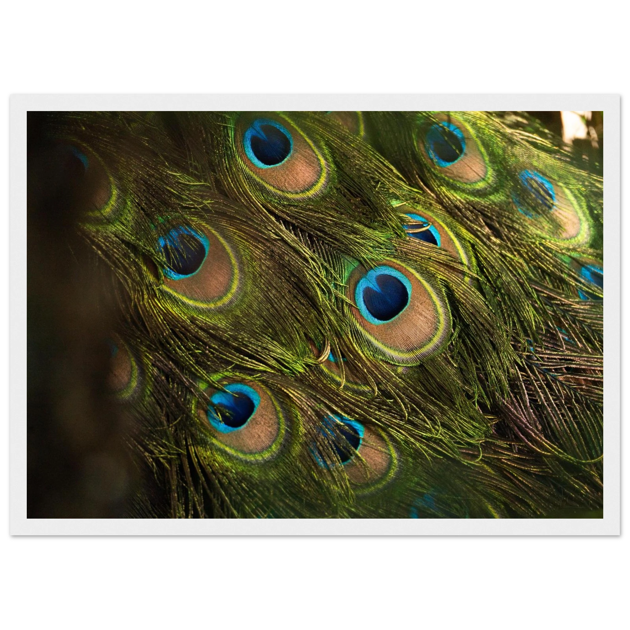 b433e889-66e4-47dc-82c2-b07295bb7838