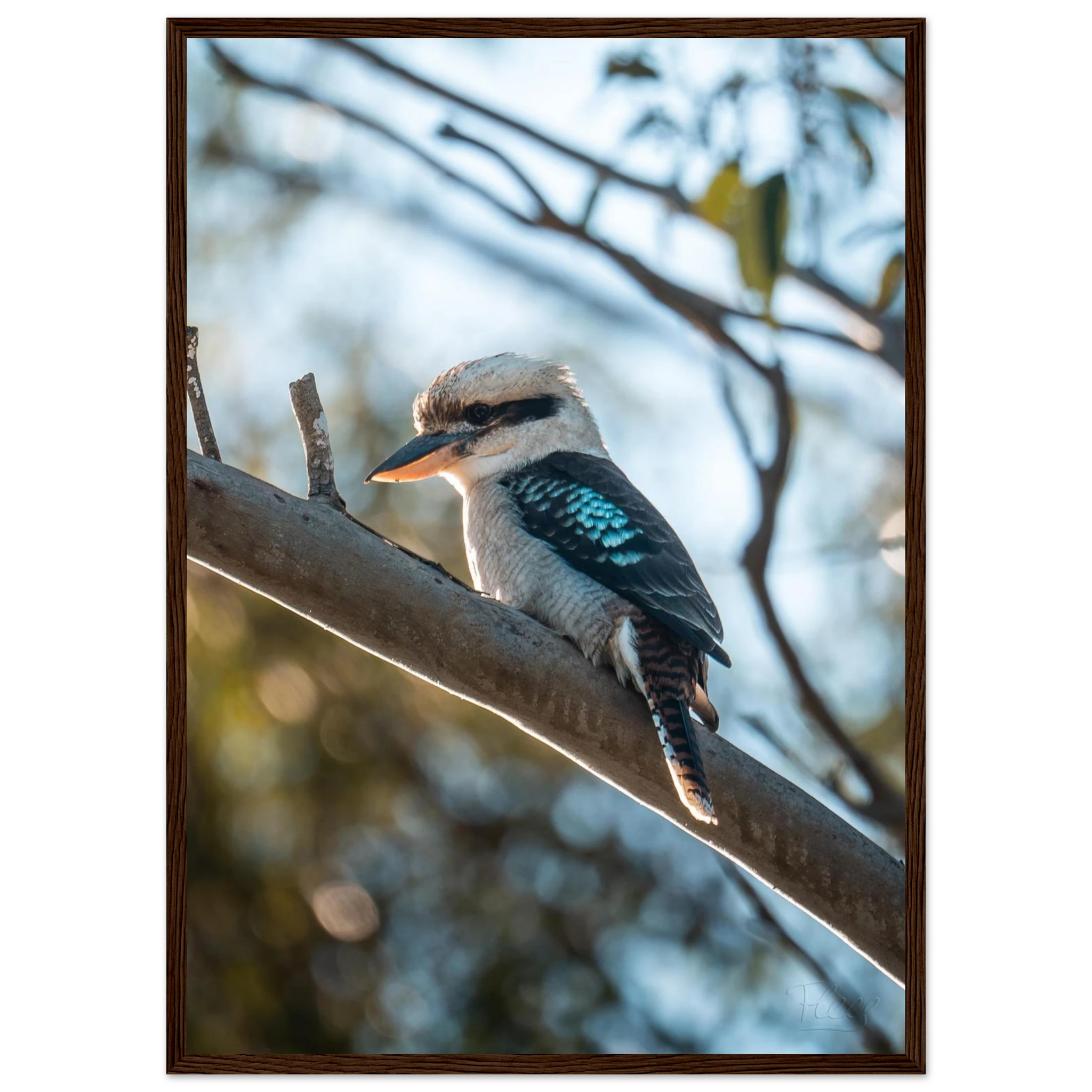 b4f7ccee-3481-4c55-88a2-f8bc15c33ac4