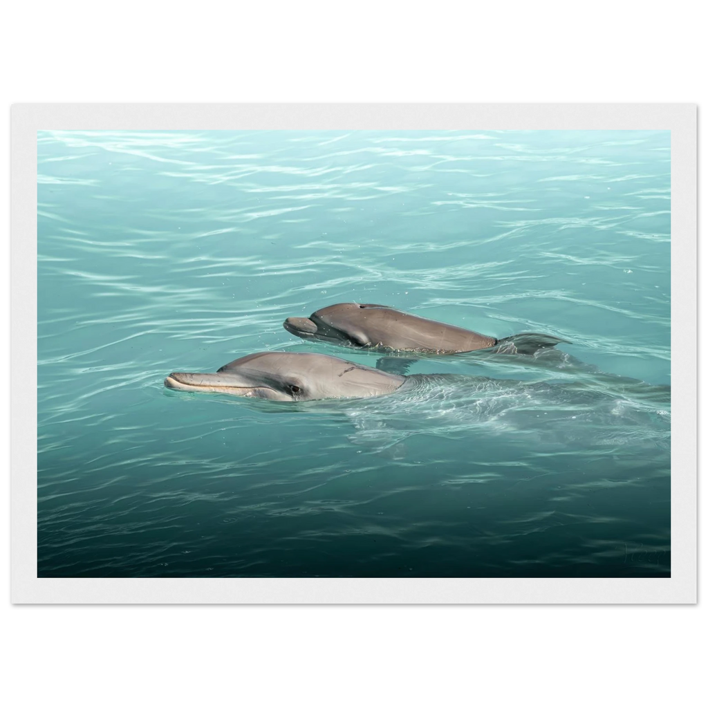 b4fc934c-9ea7-4495-b5d7-aa79b248375b