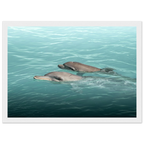 b4fc934c-9ea7-4495-b5d7-aa79b248375b