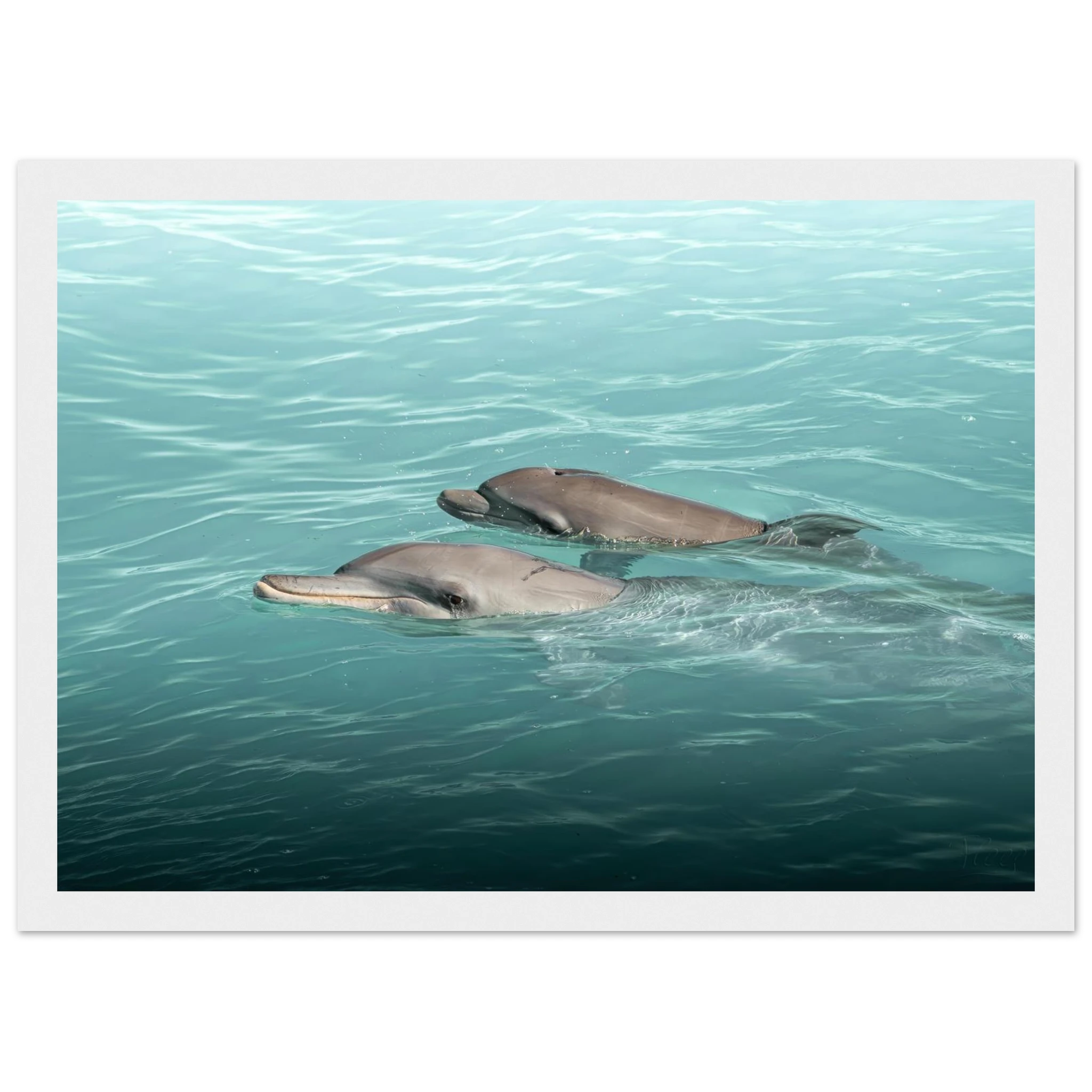 b4fc934c-9ea7-4495-b5d7-aa79b248375b