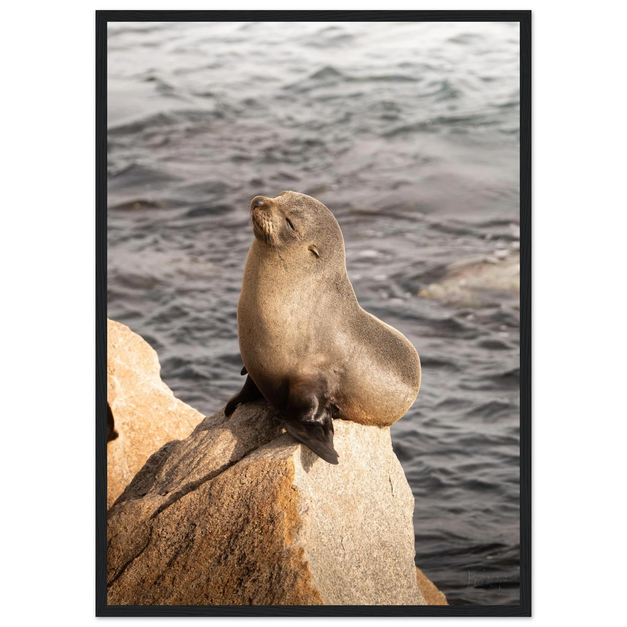 b55083af-7792-49d5-8786-12c9e804fc34