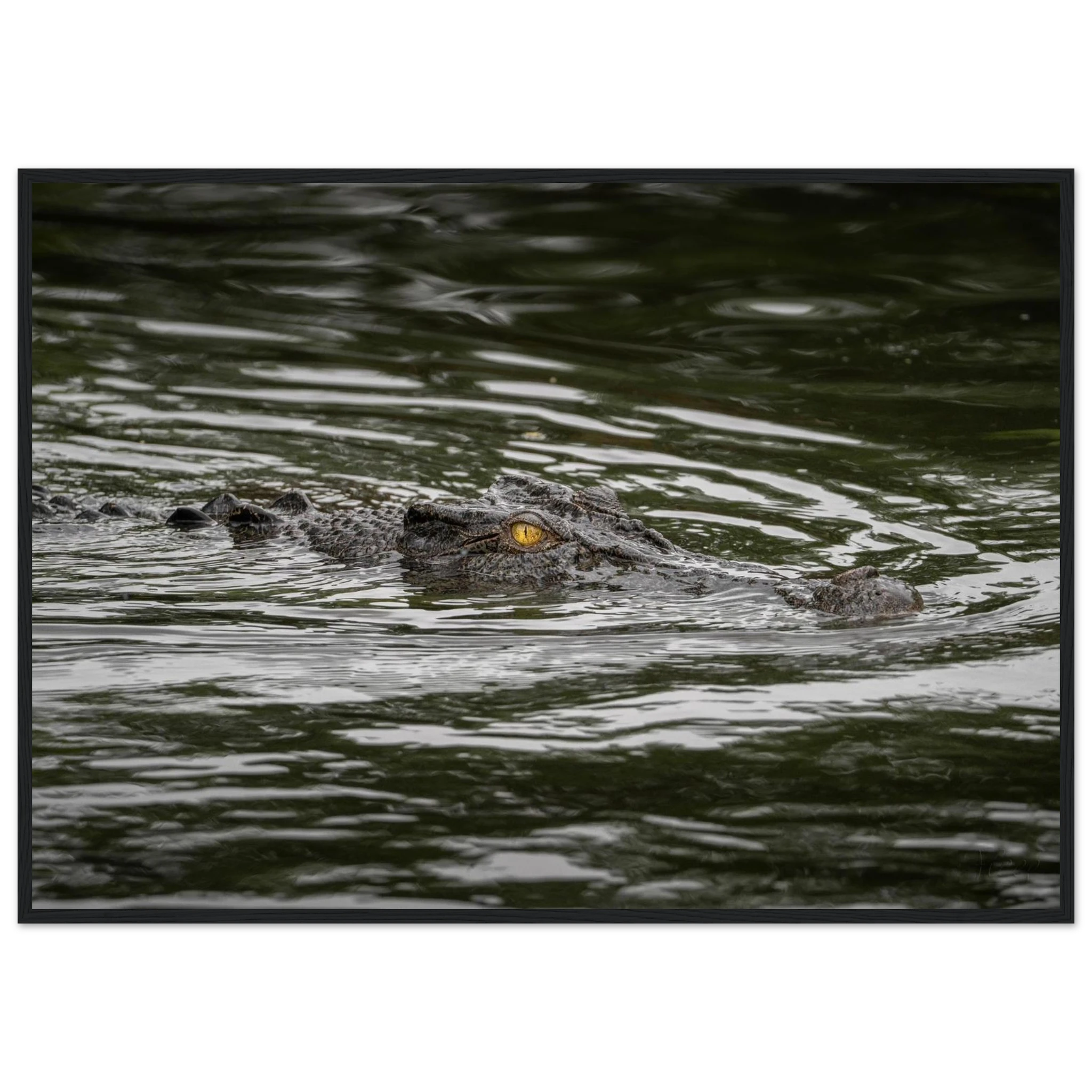 b55a7602-8e8d-4006-b542-955cc691392a