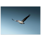 b59e8f28-c890-4256-bf68-f35a4c65a806