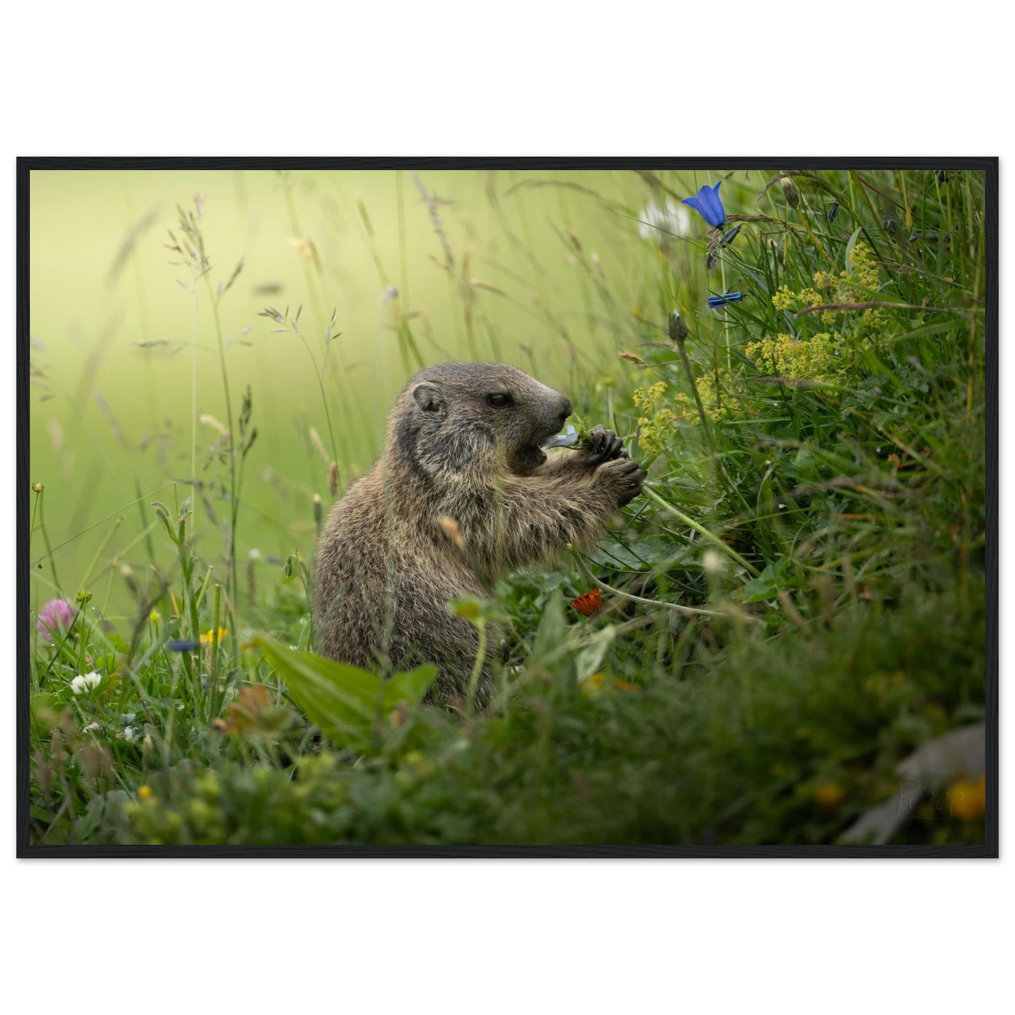 b59edbda-3cdd-44de-8e53-2a2d6cf2a053