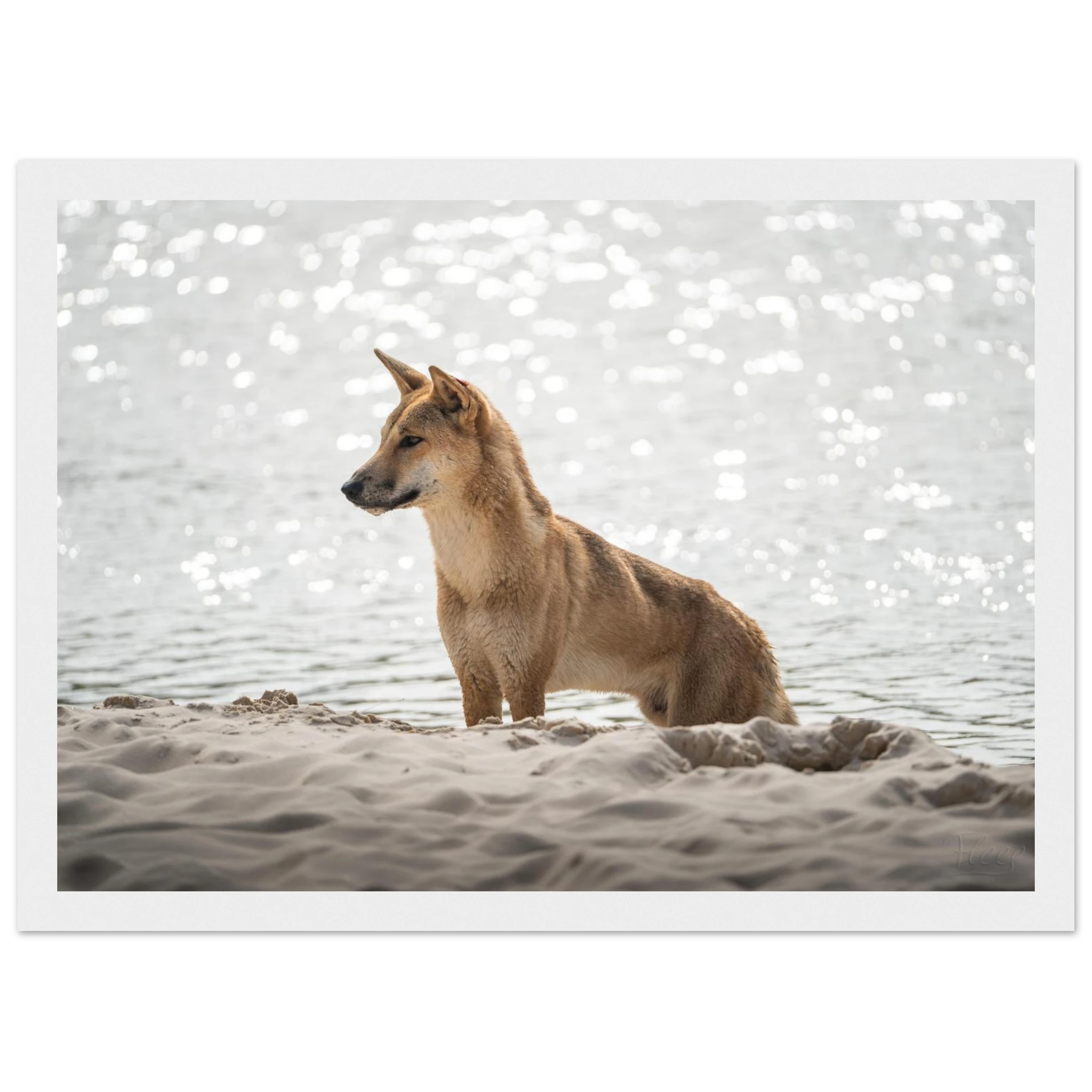 b5fff614-9b78-41af-8755-299649ac3592