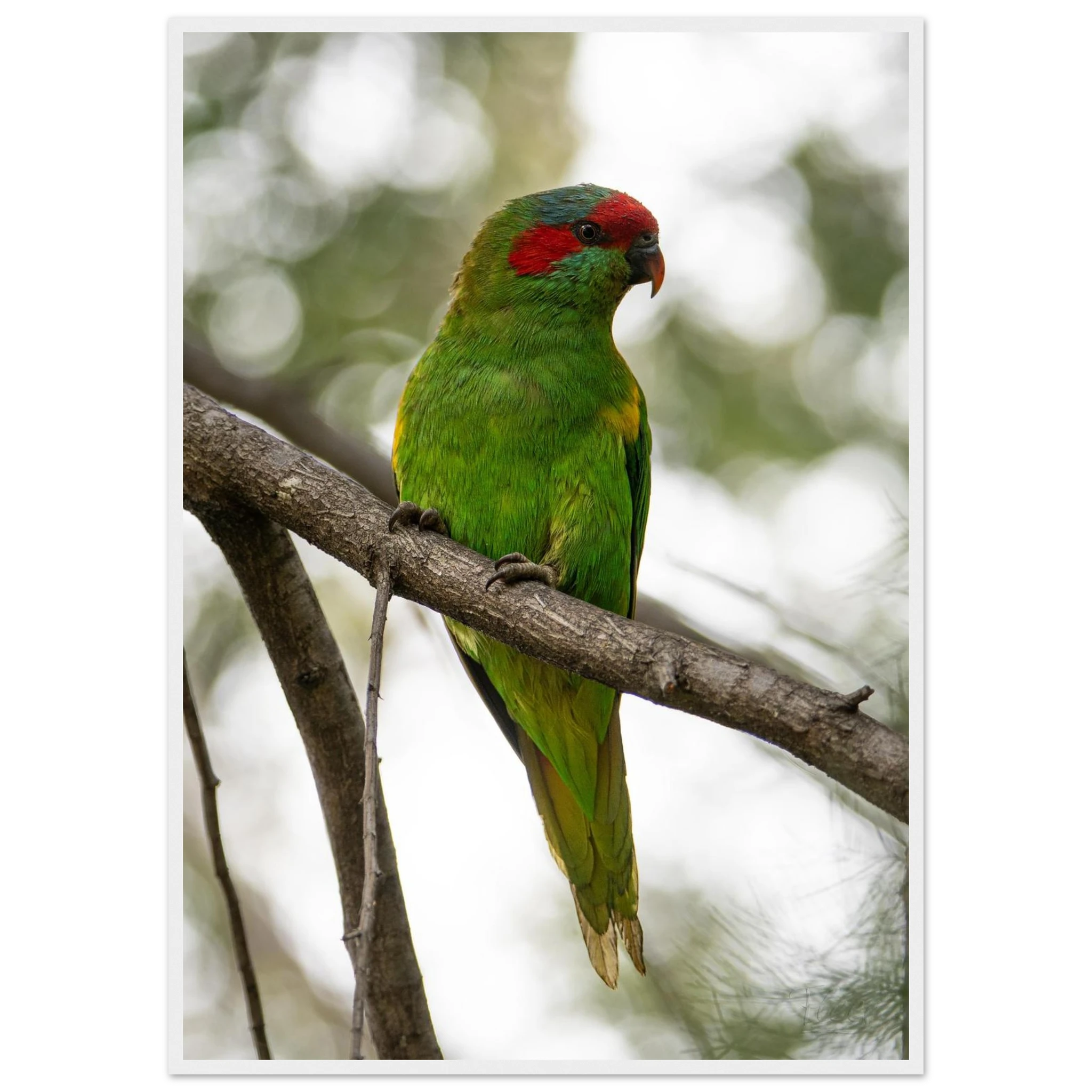 b61c750c-58d6-463d-a2fc-66778ace8d05