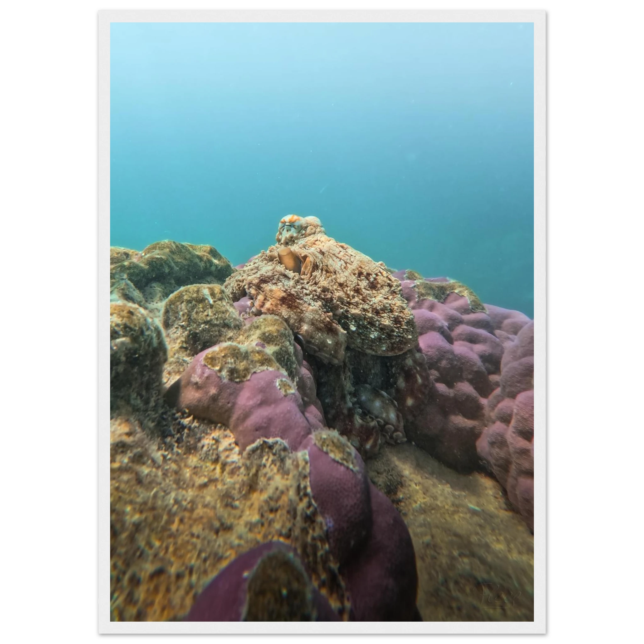 b6689c6c-61f2-4e58-9f1b-59750025f2fd