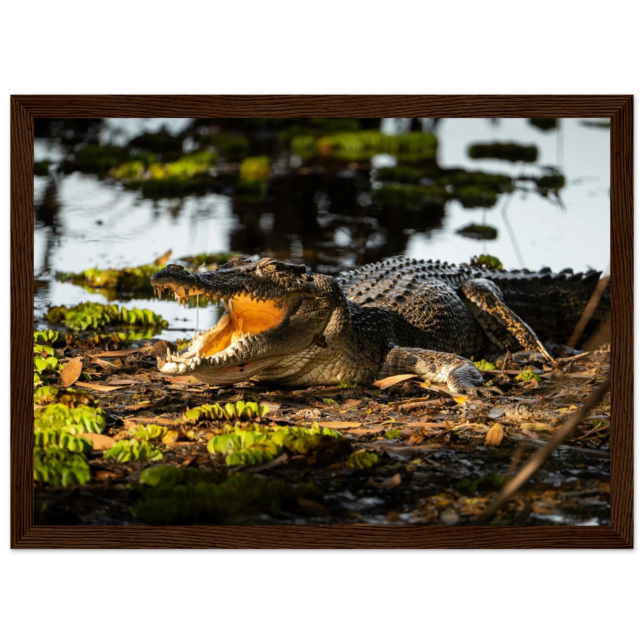 b672871b-95d1-4f05-bc6c-4e71da41e5a9