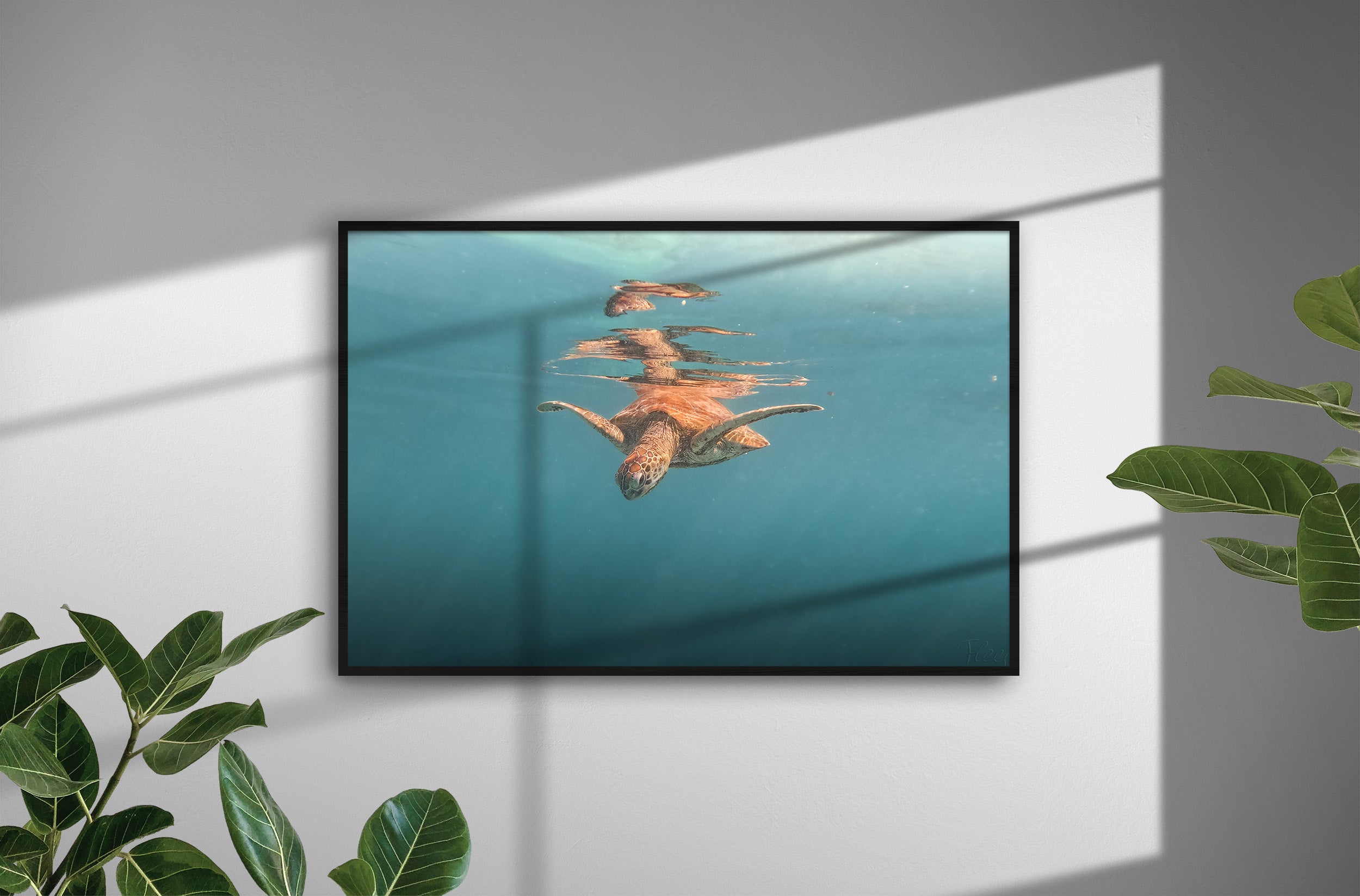 b6da9e04-4f2c-4c7d-8d90-23b28836a7dd