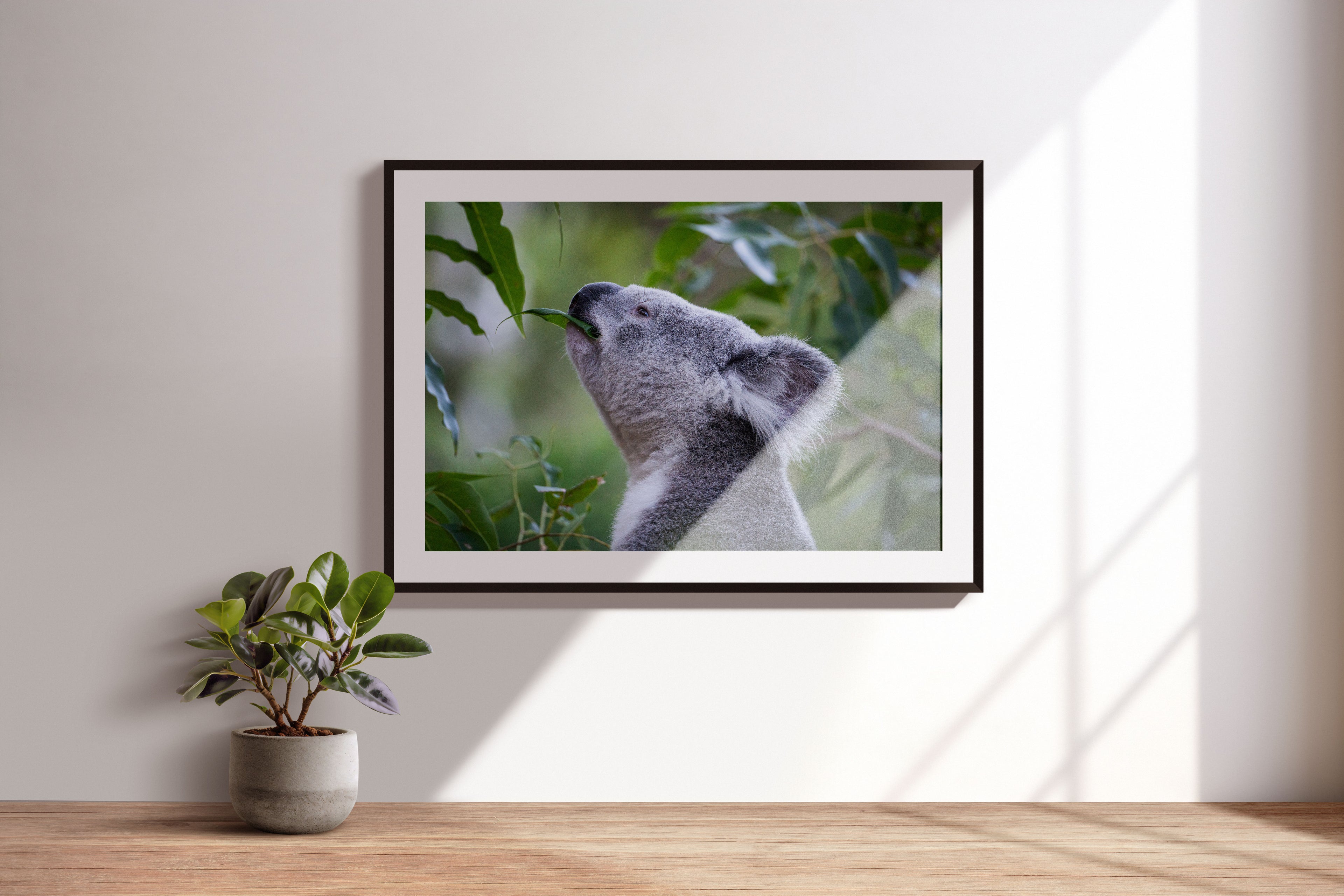 b787d3cf-9511-4e49-bf1b-0c430d6e3c30