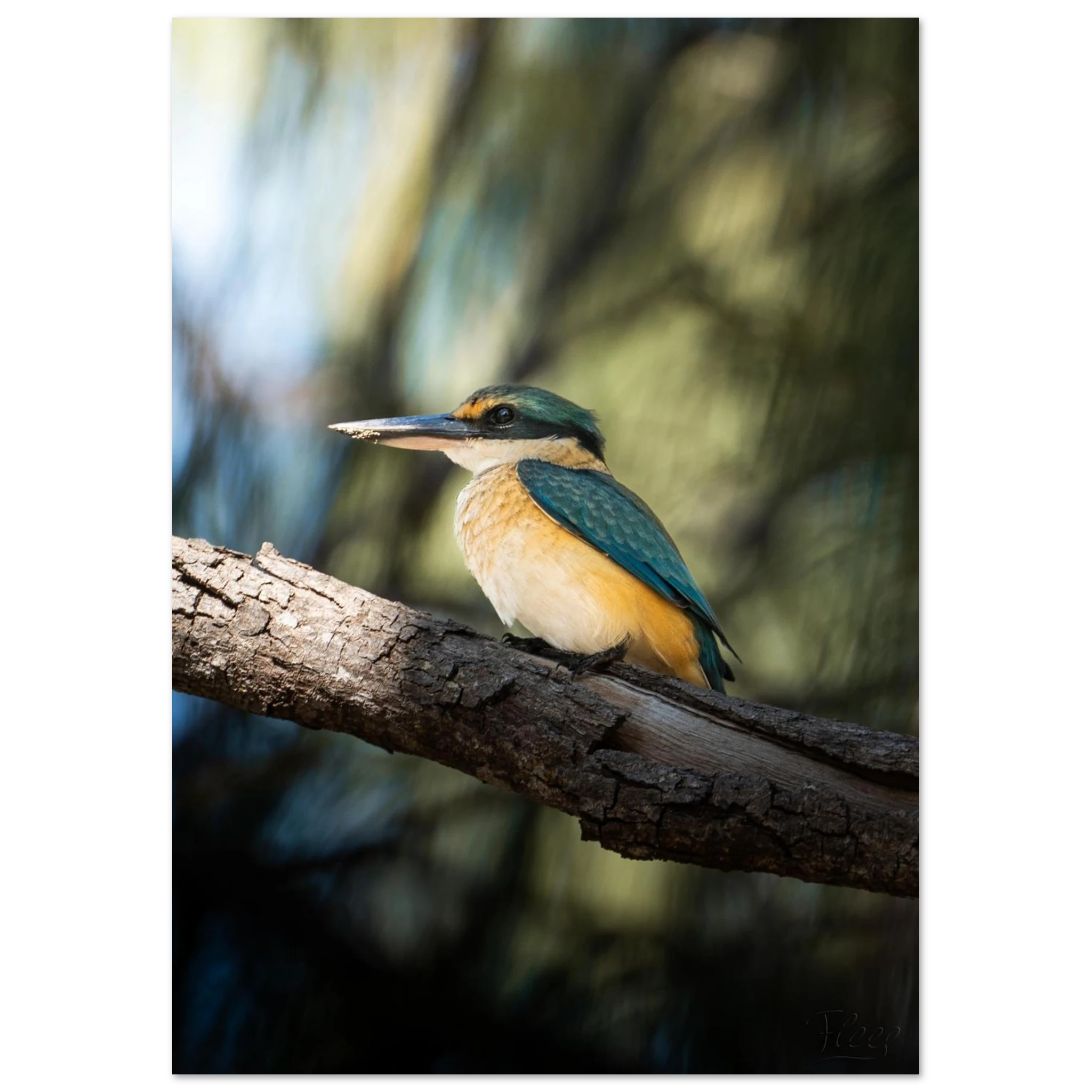 b7cbaaa2-0af2-42bd-b74d-79f22c7151a5