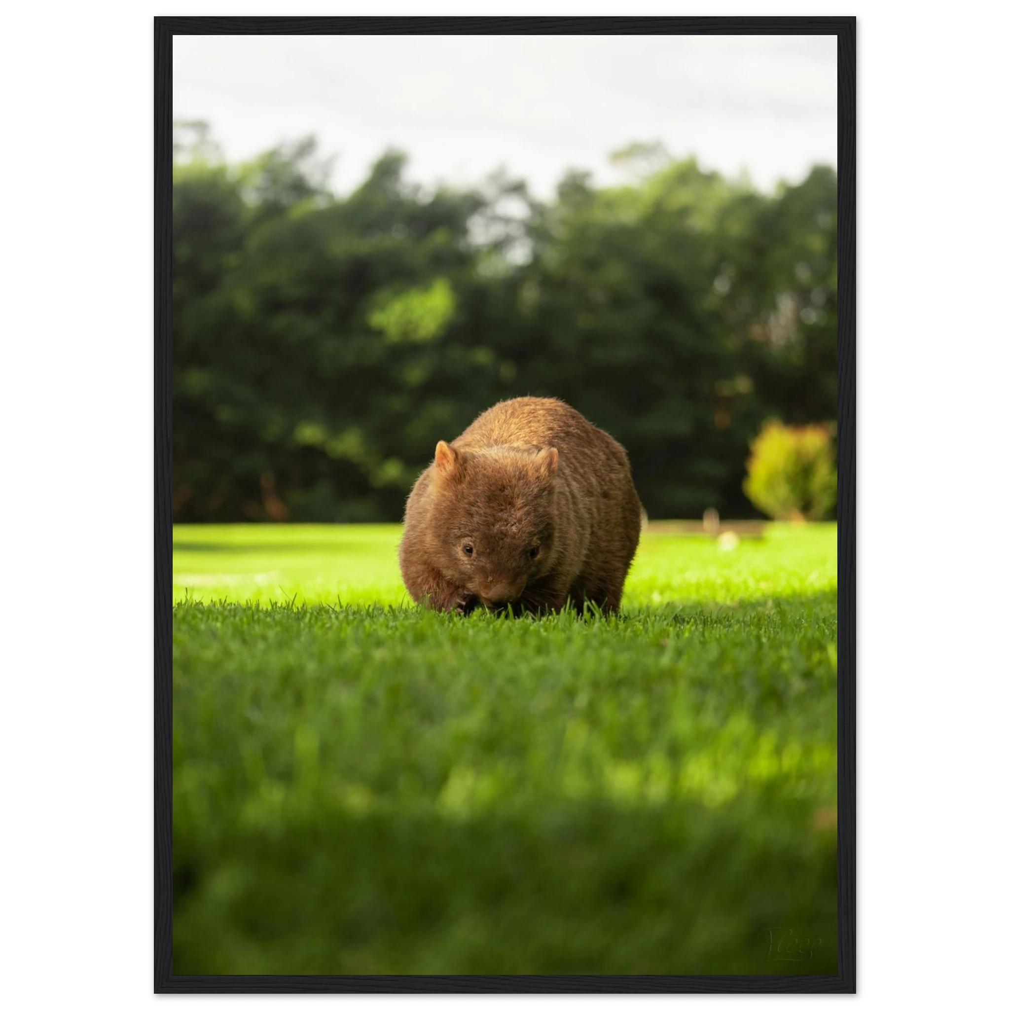 b80a5b50-c3a1-4aef-a6b4-486776819857