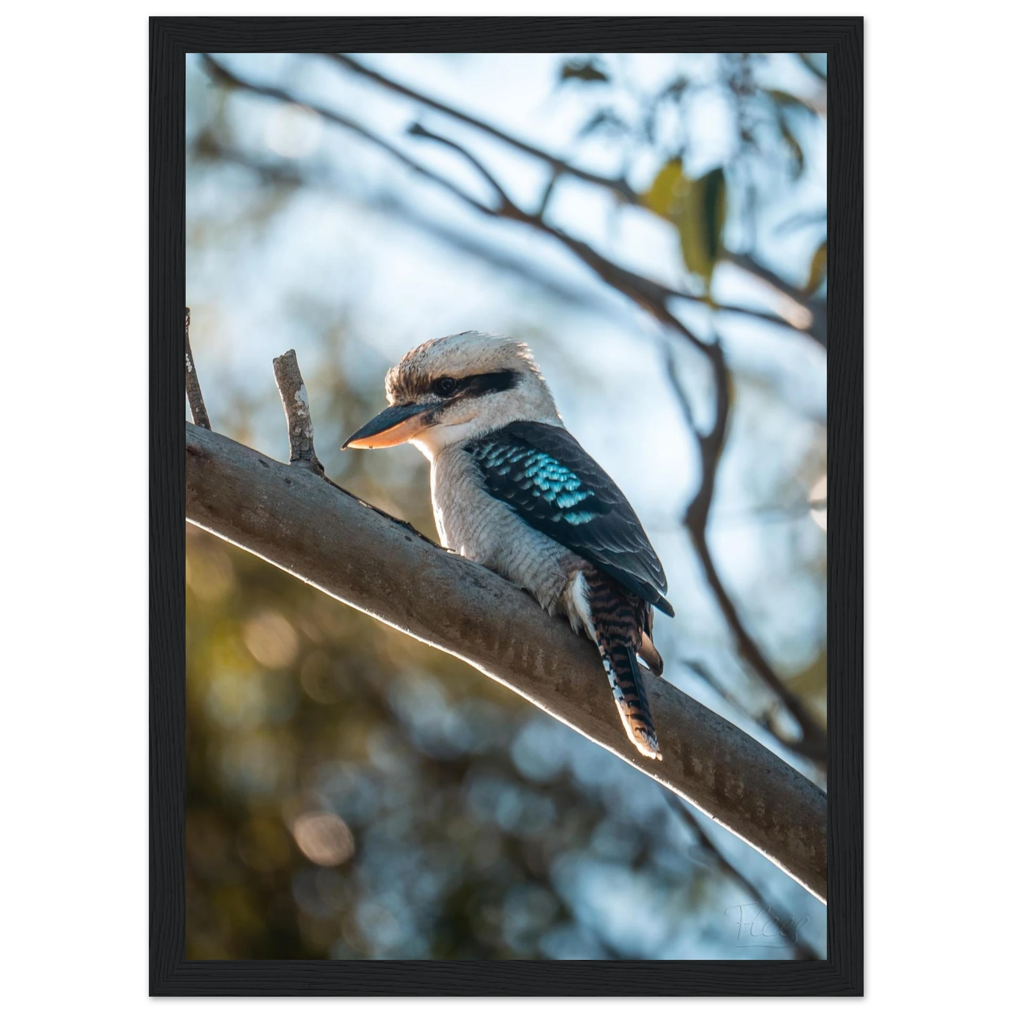 b845cc7a-3976-4000-aed7-afe6a49c8a4e