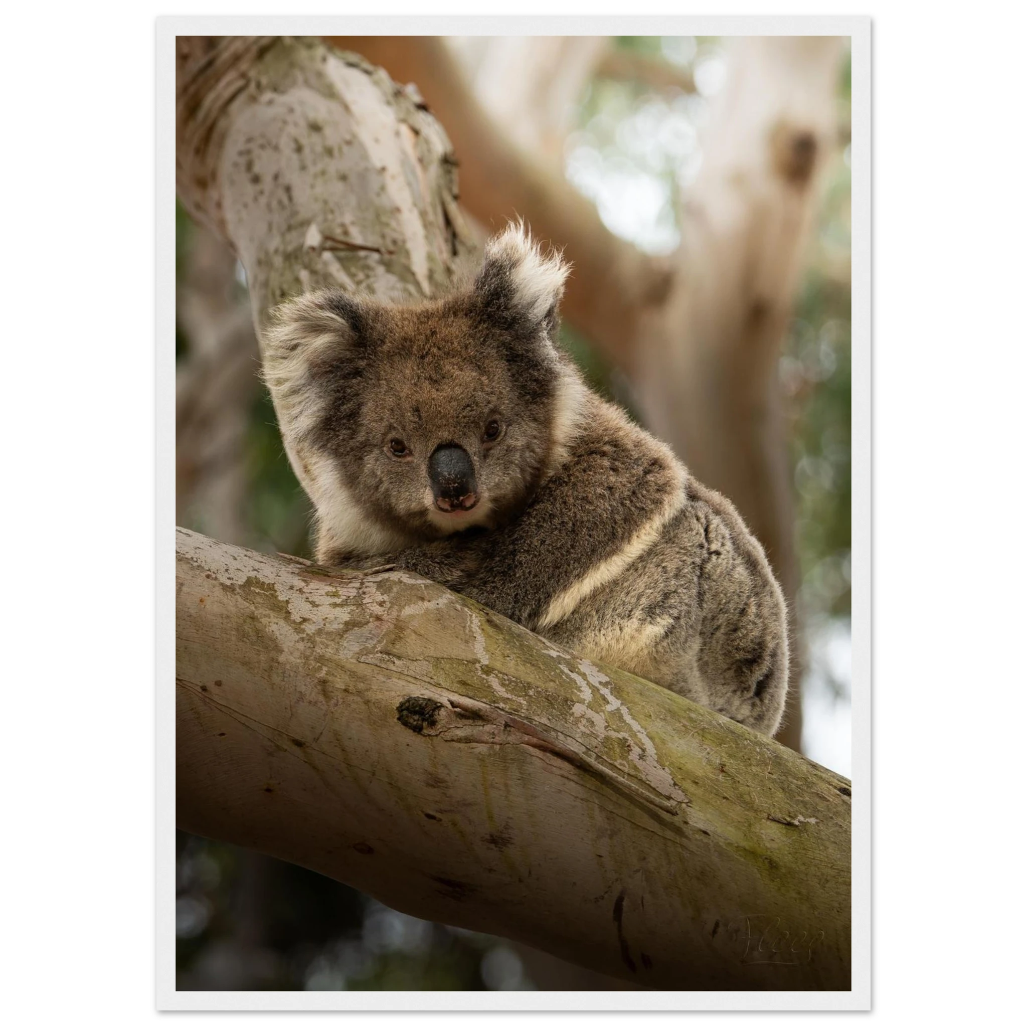 b8891d2a-6173-4235-9fa3-cc46f809e758