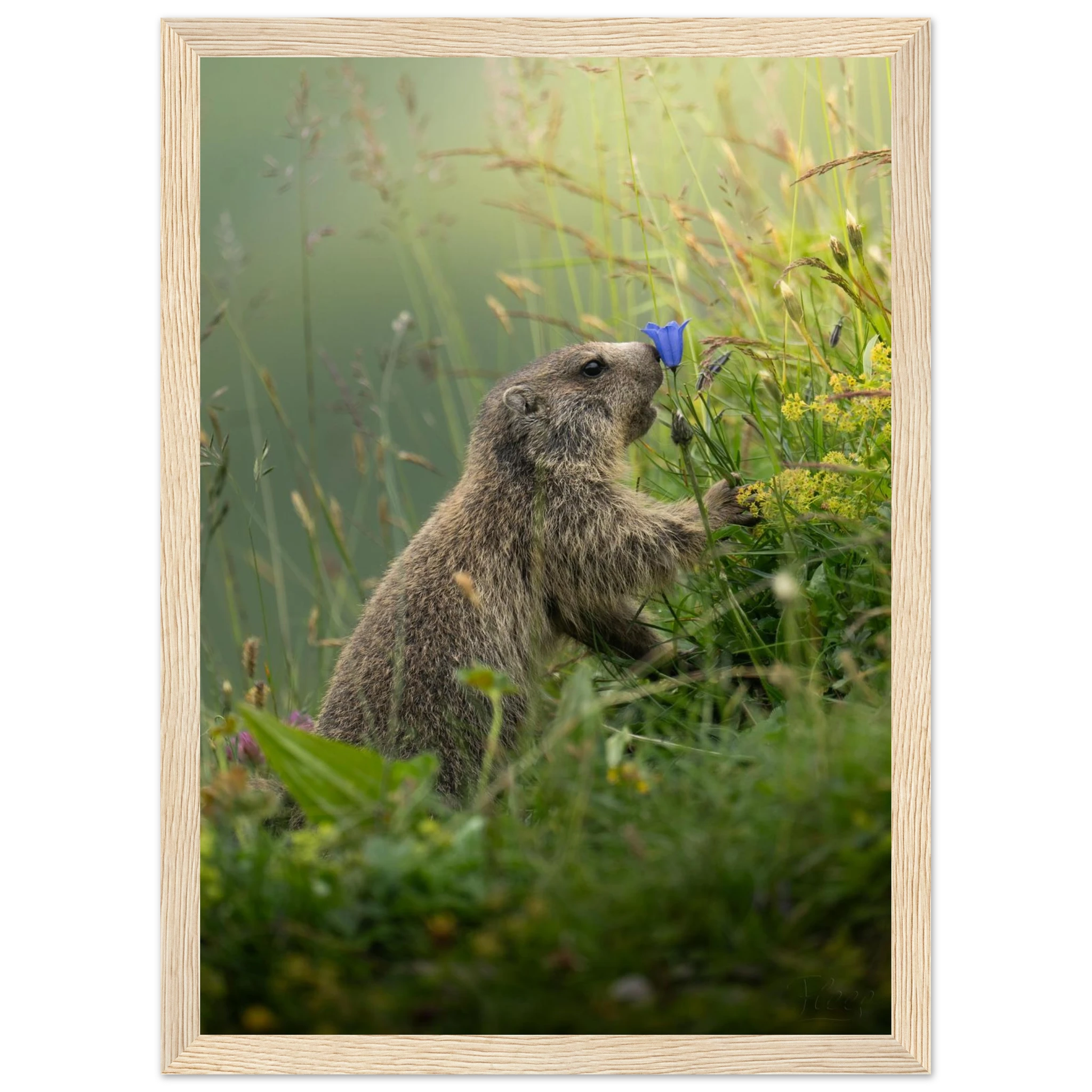 b8d78e58-904e-4a39-969e-72d4fd882678