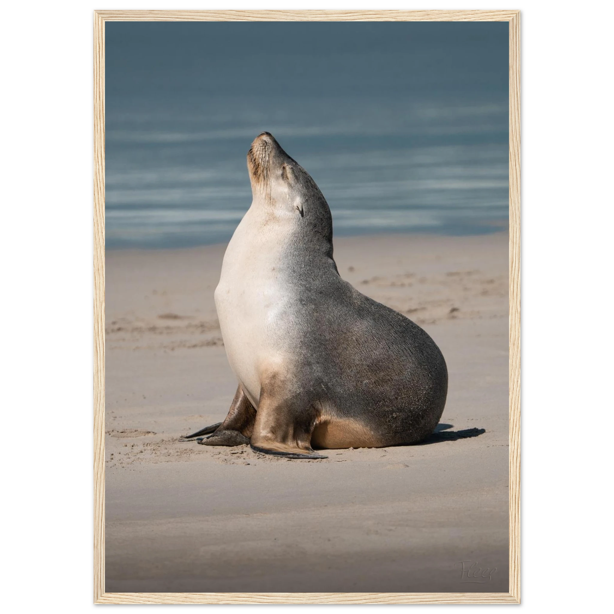 ba1aca43-e9c2-4ac8-a54b-814e38315241