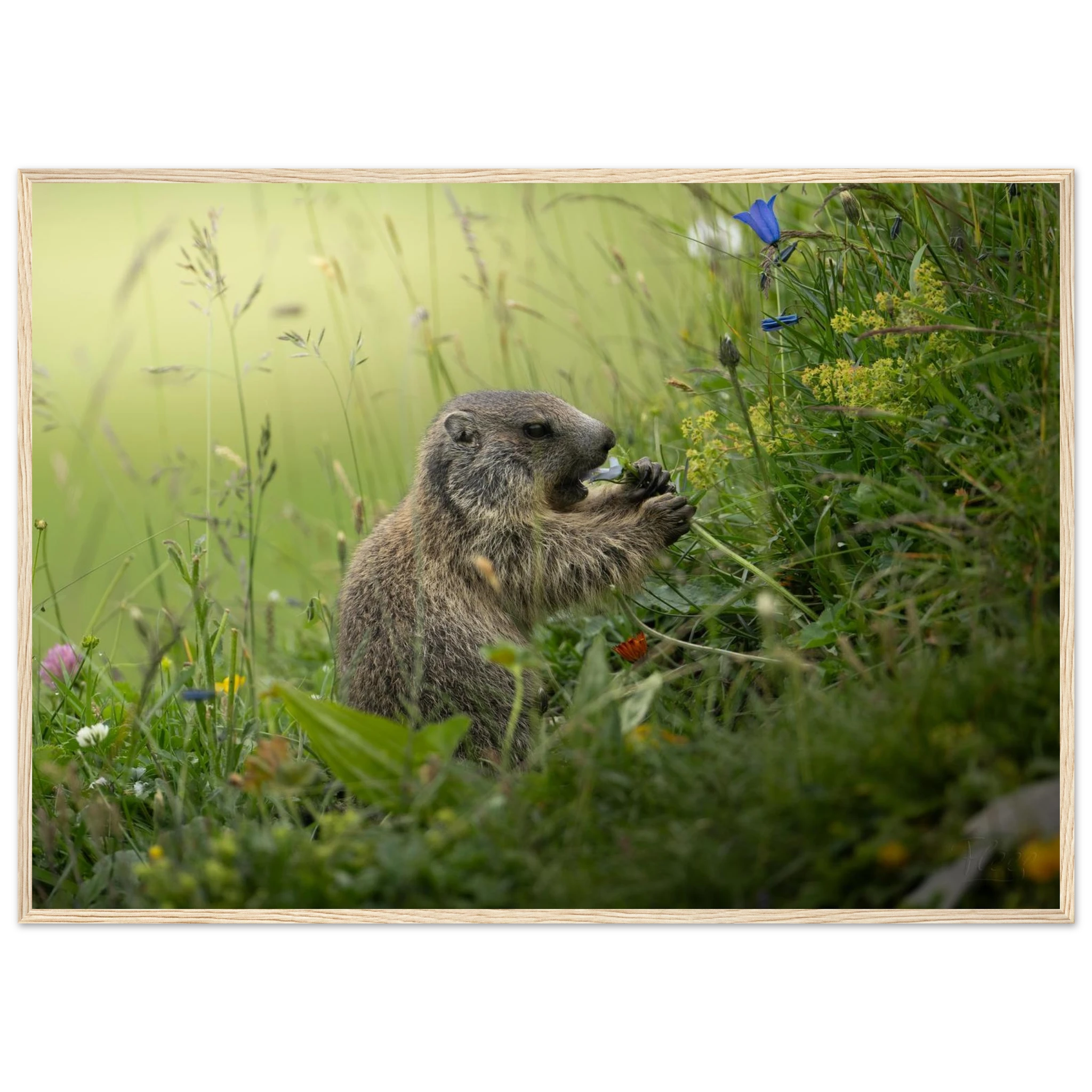 ba2e89a5-5c03-4134-b349-ec94bc0675c3