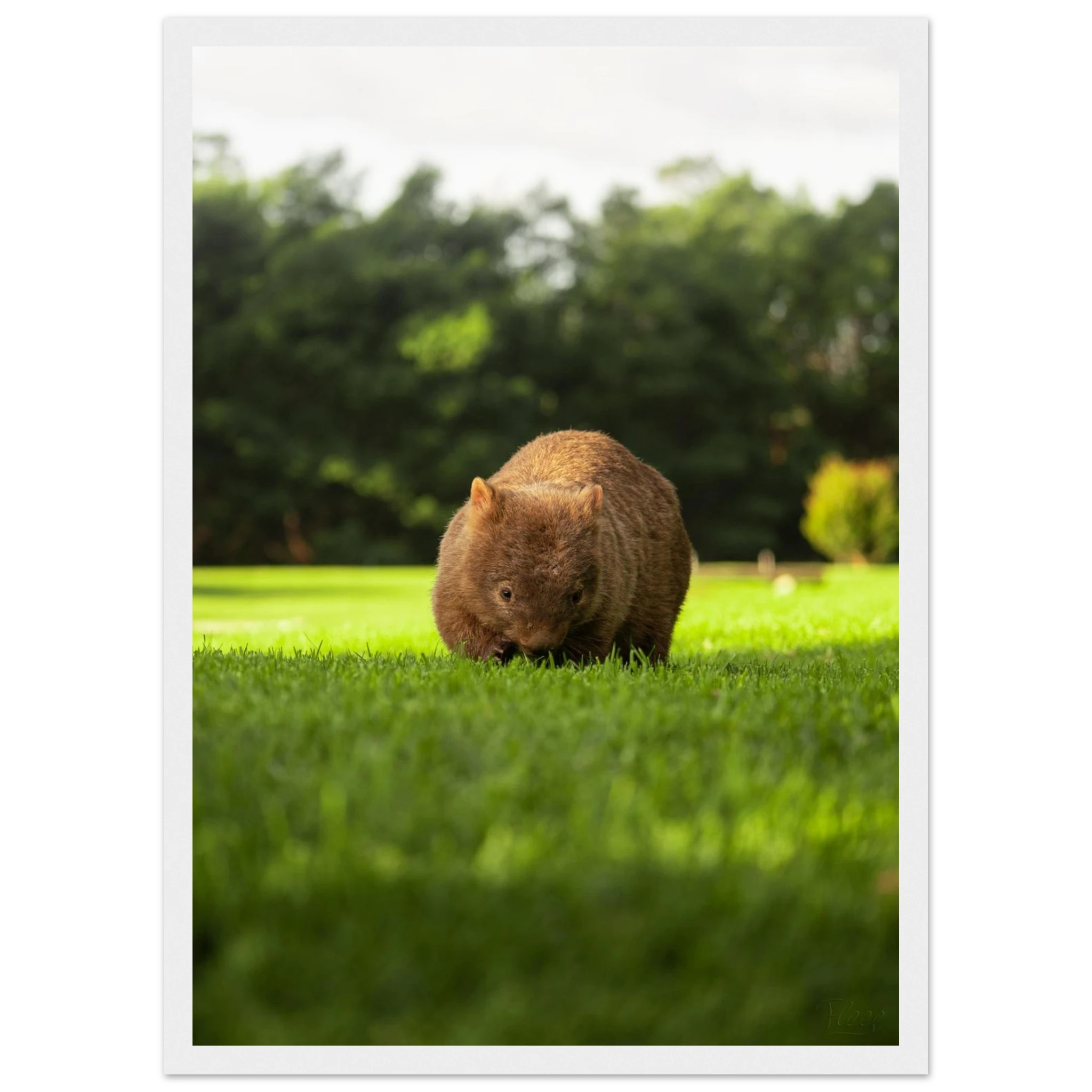 ba2eaee1-3a1f-42a7-873b-e96ac42b316c