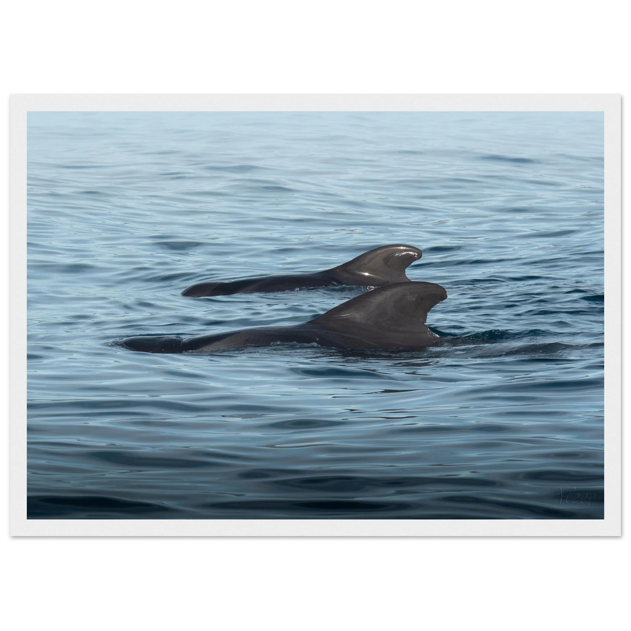 ba5e9a78-306f-4171-83f7-fff309e00665