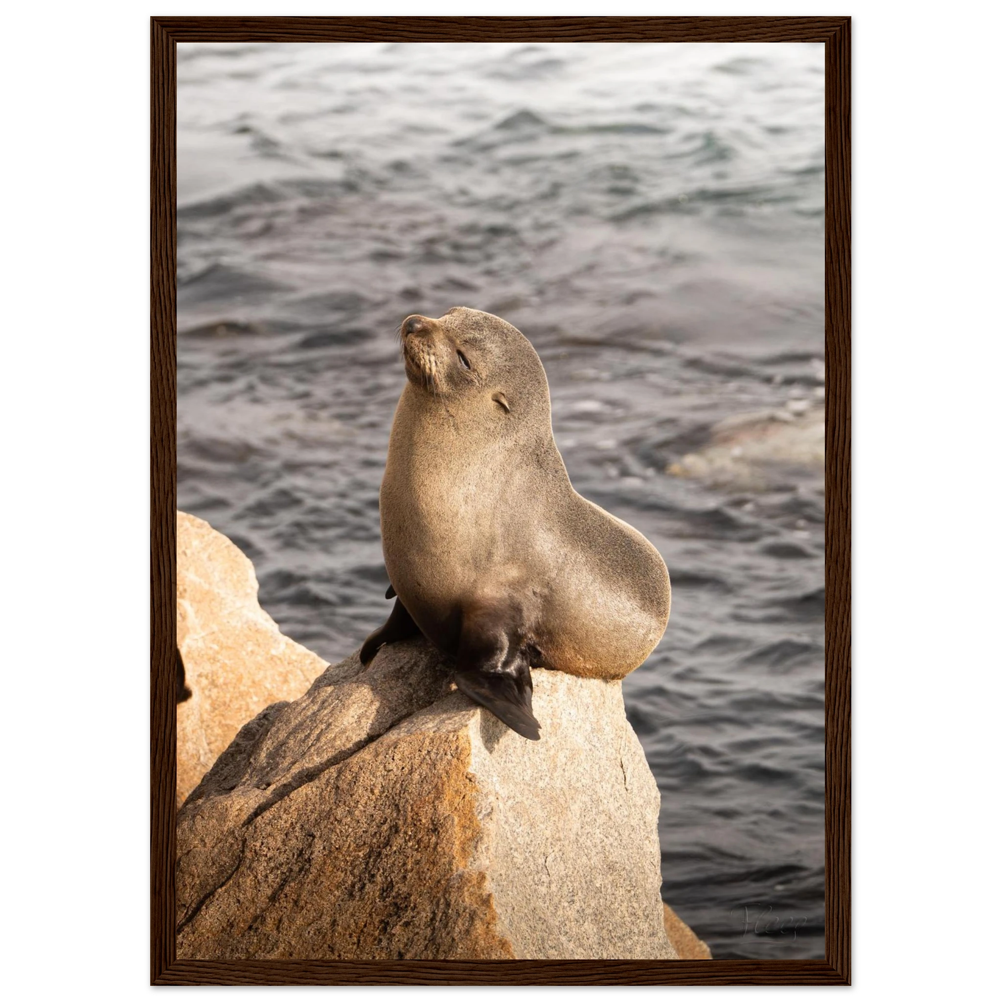 baa26dc2-550c-434b-bc08-71ae98a6bda7