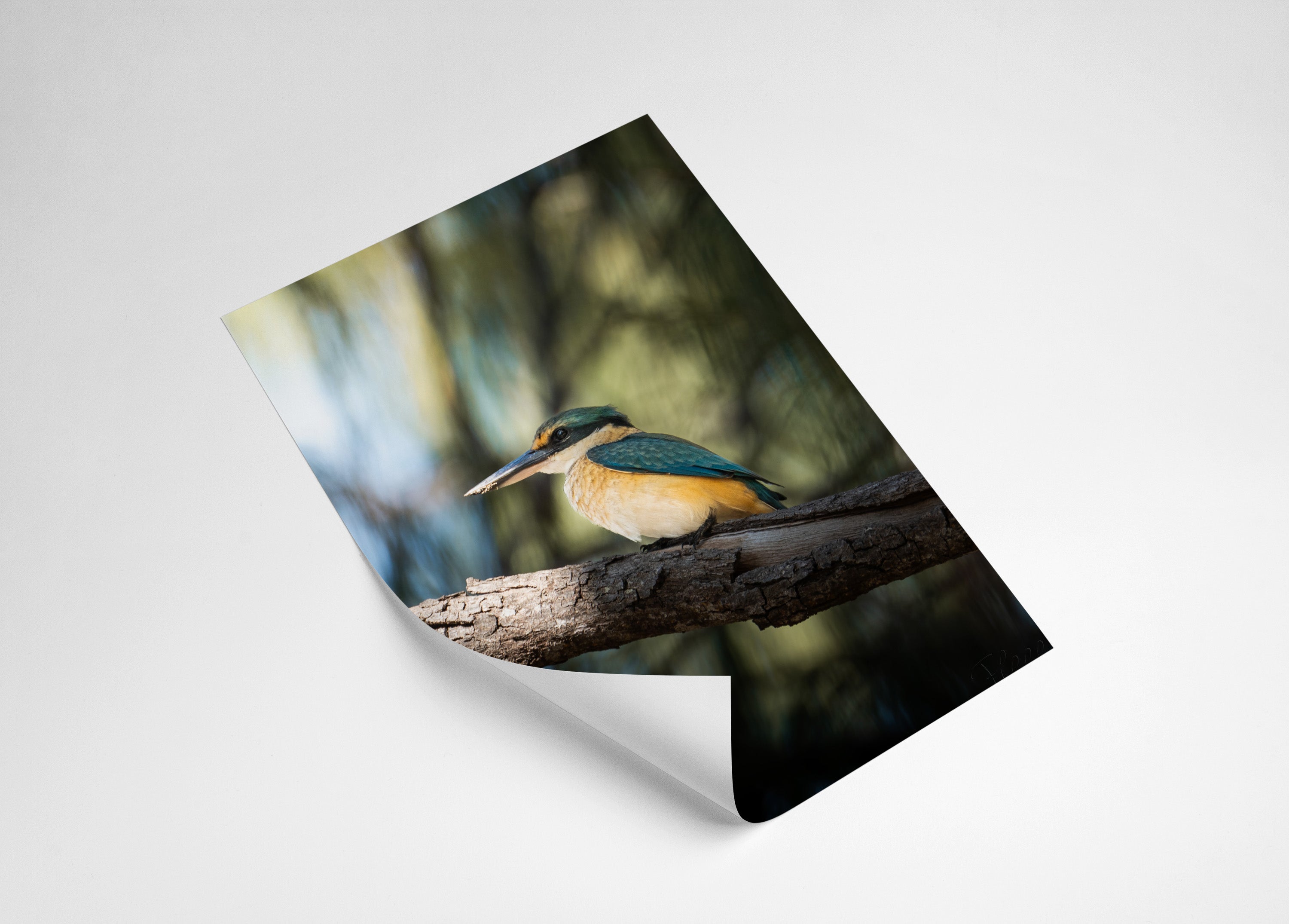 bab13228-b57b-4aab-8218-83ba3020516f