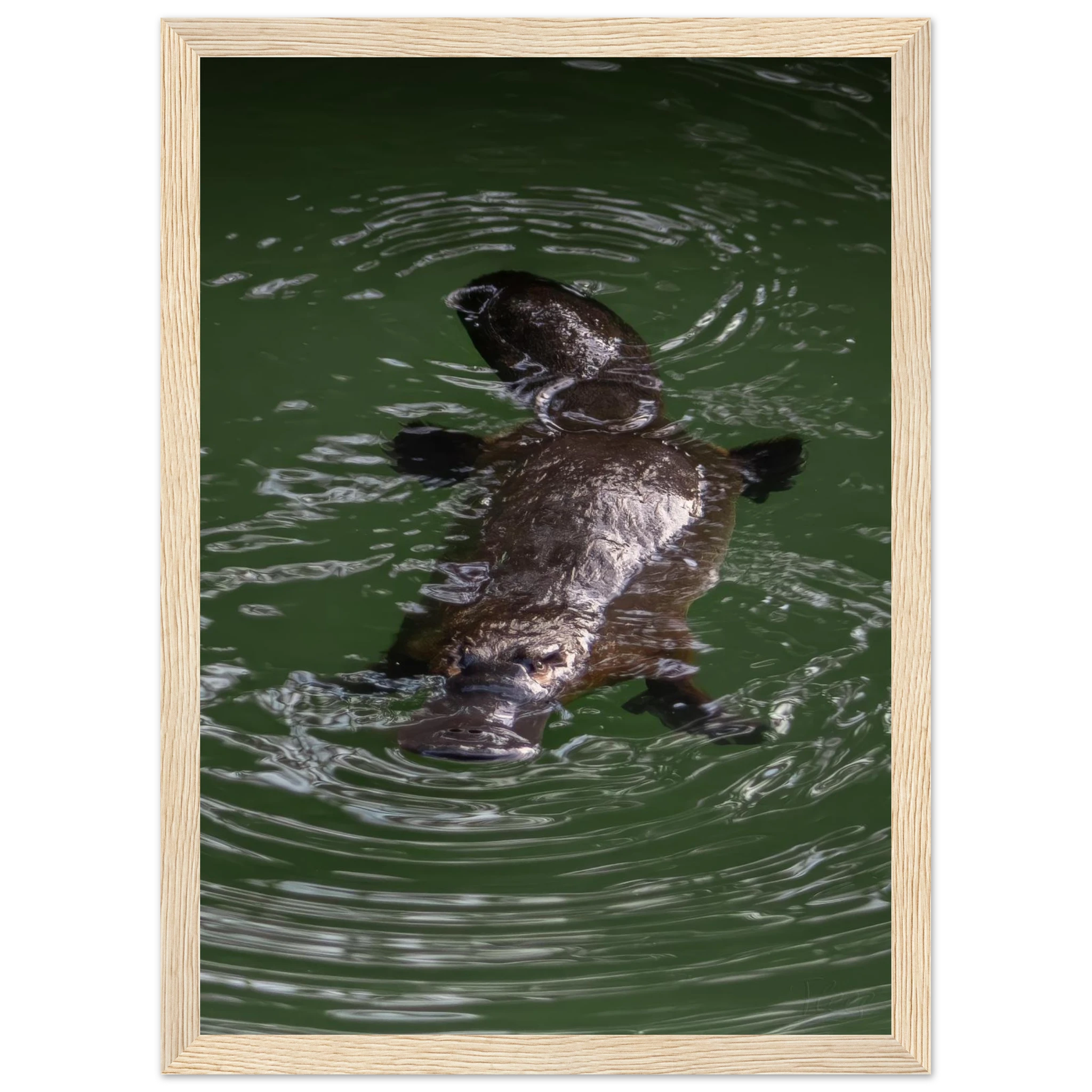 baeaeb11-b677-40b7-9878-b3438225156b