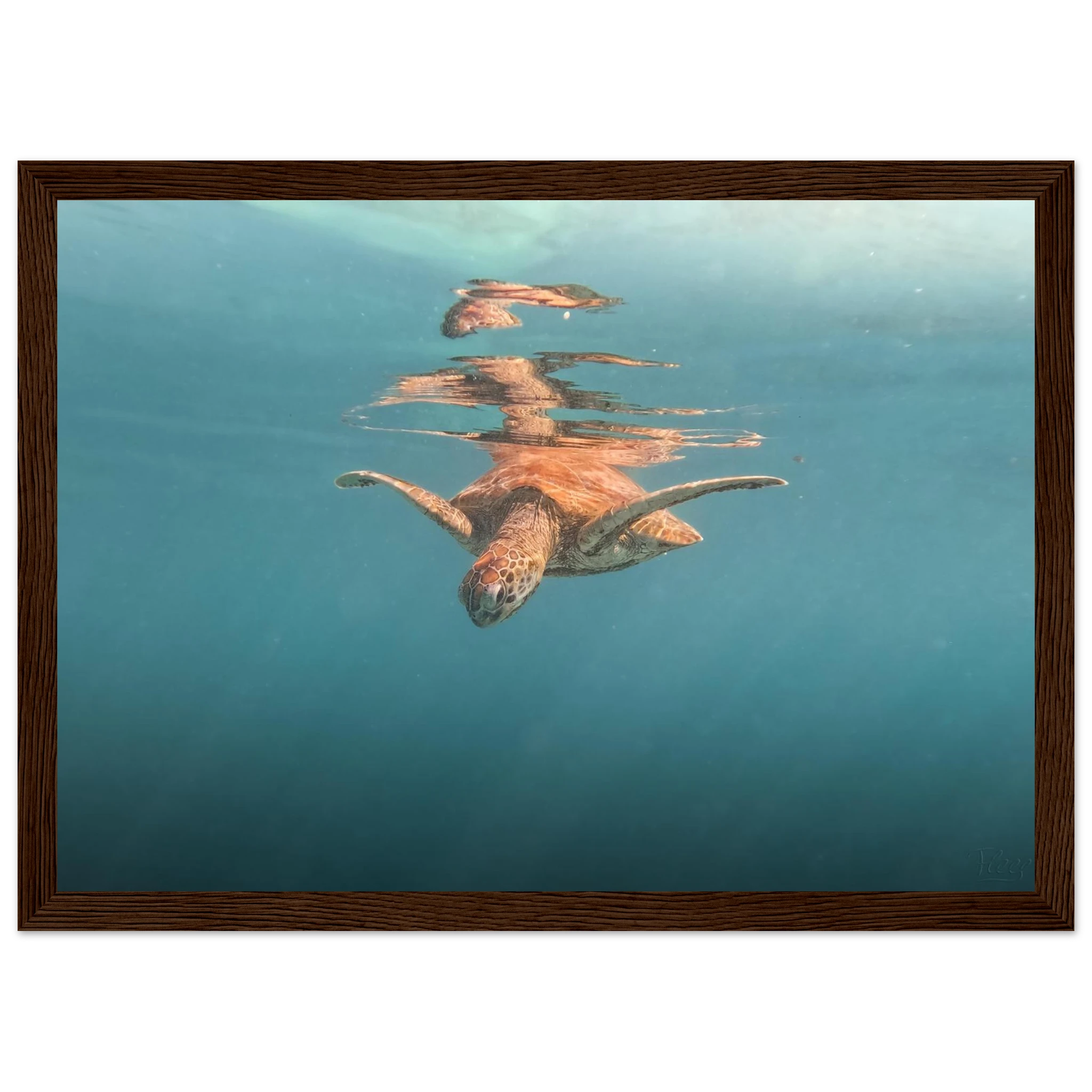 bb6b89b9-25d3-4f85-be87-de811b04c424