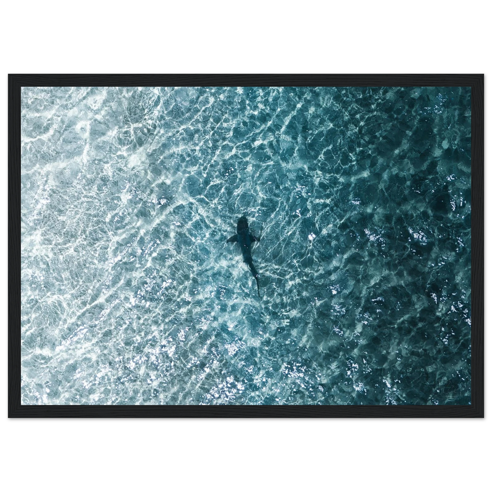 bb913ef4-f23e-40b1-af1e-3a9bd65459eb