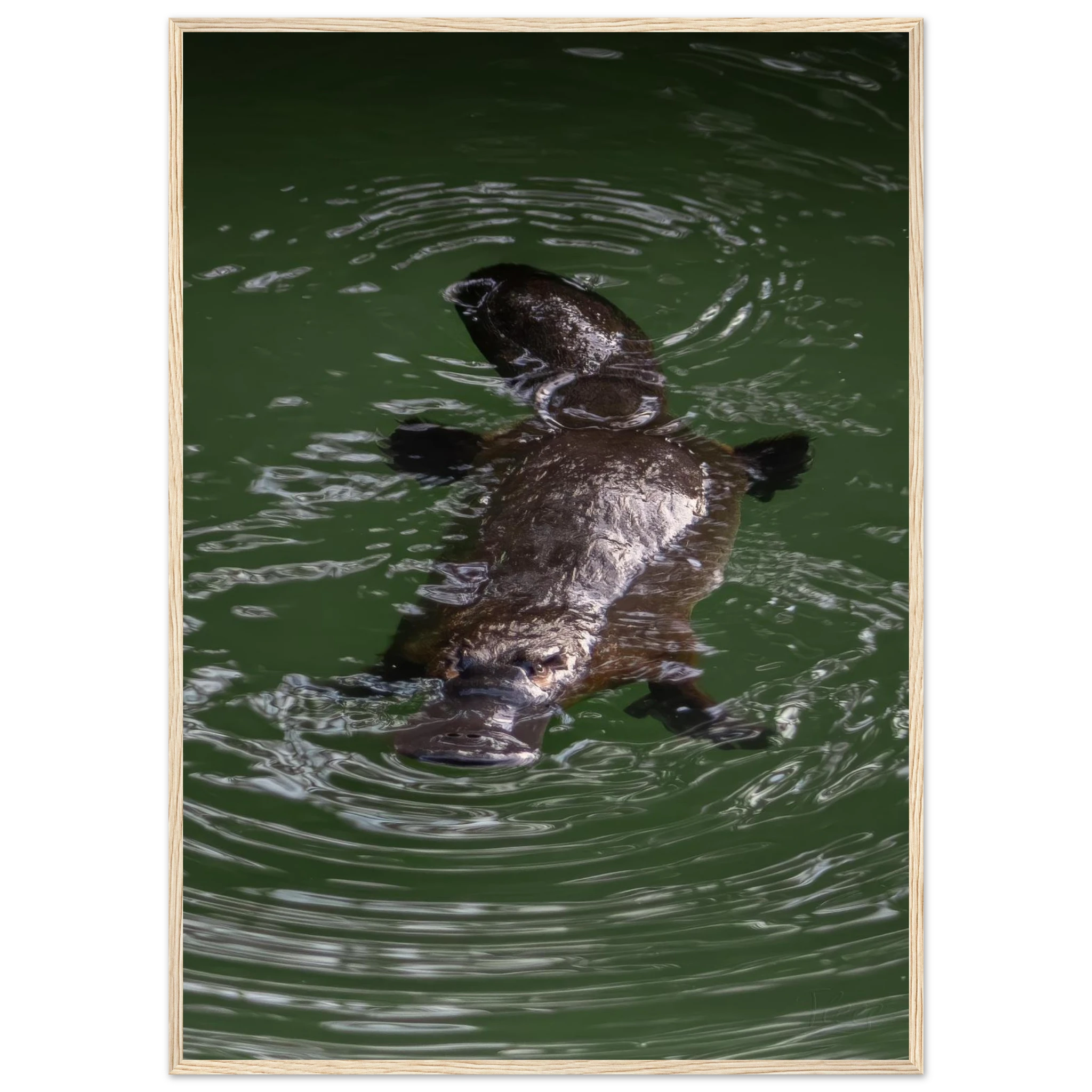 bbee45a5-d75e-42d2-b468-0eaaa688d287