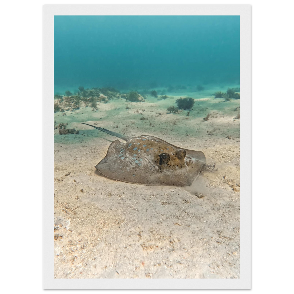 bcb8a11b-f5ed-461d-84fd-1039d65c9414