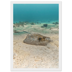 bcb8a11b-f5ed-461d-84fd-1039d65c9414