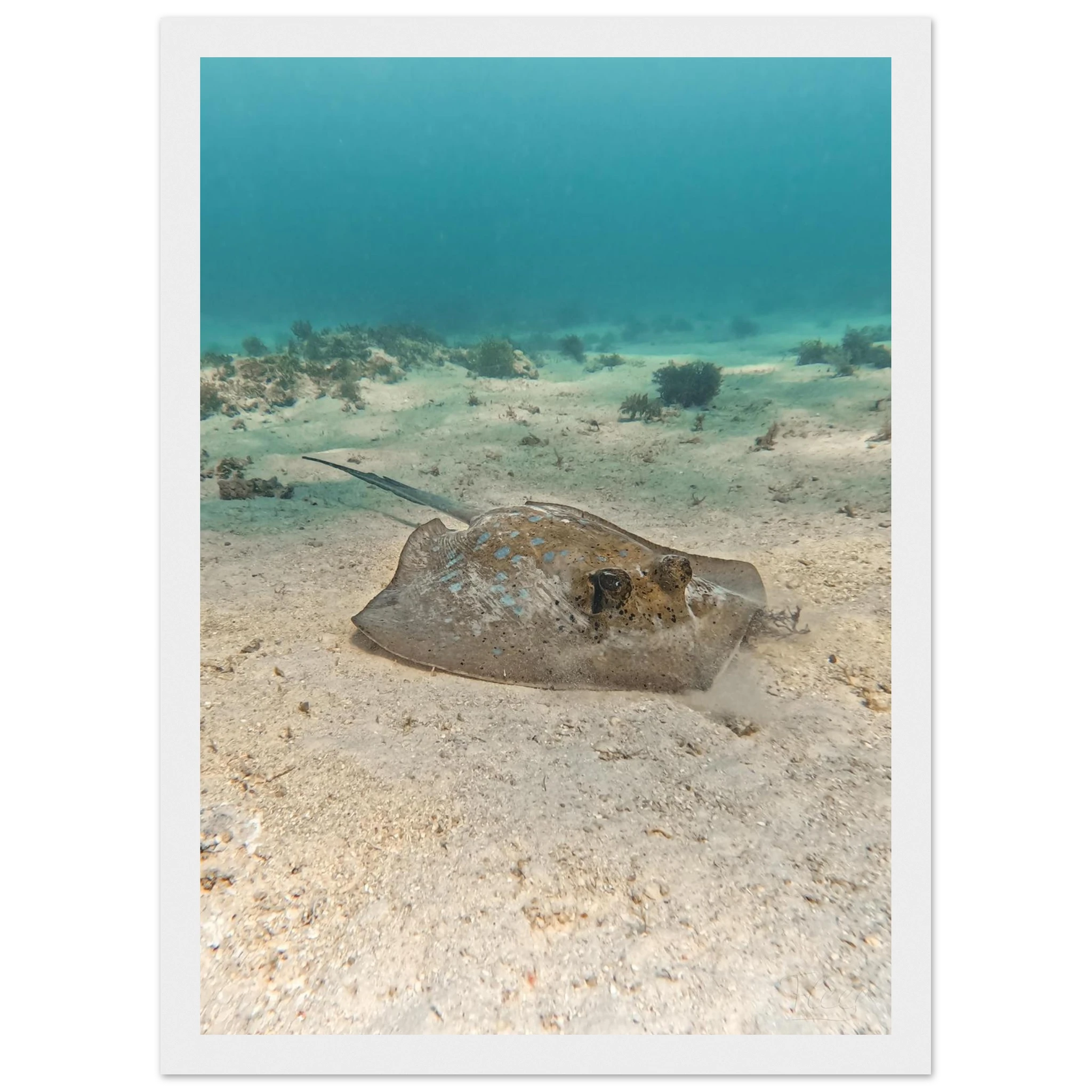 bcb8a11b-f5ed-461d-84fd-1039d65c9414