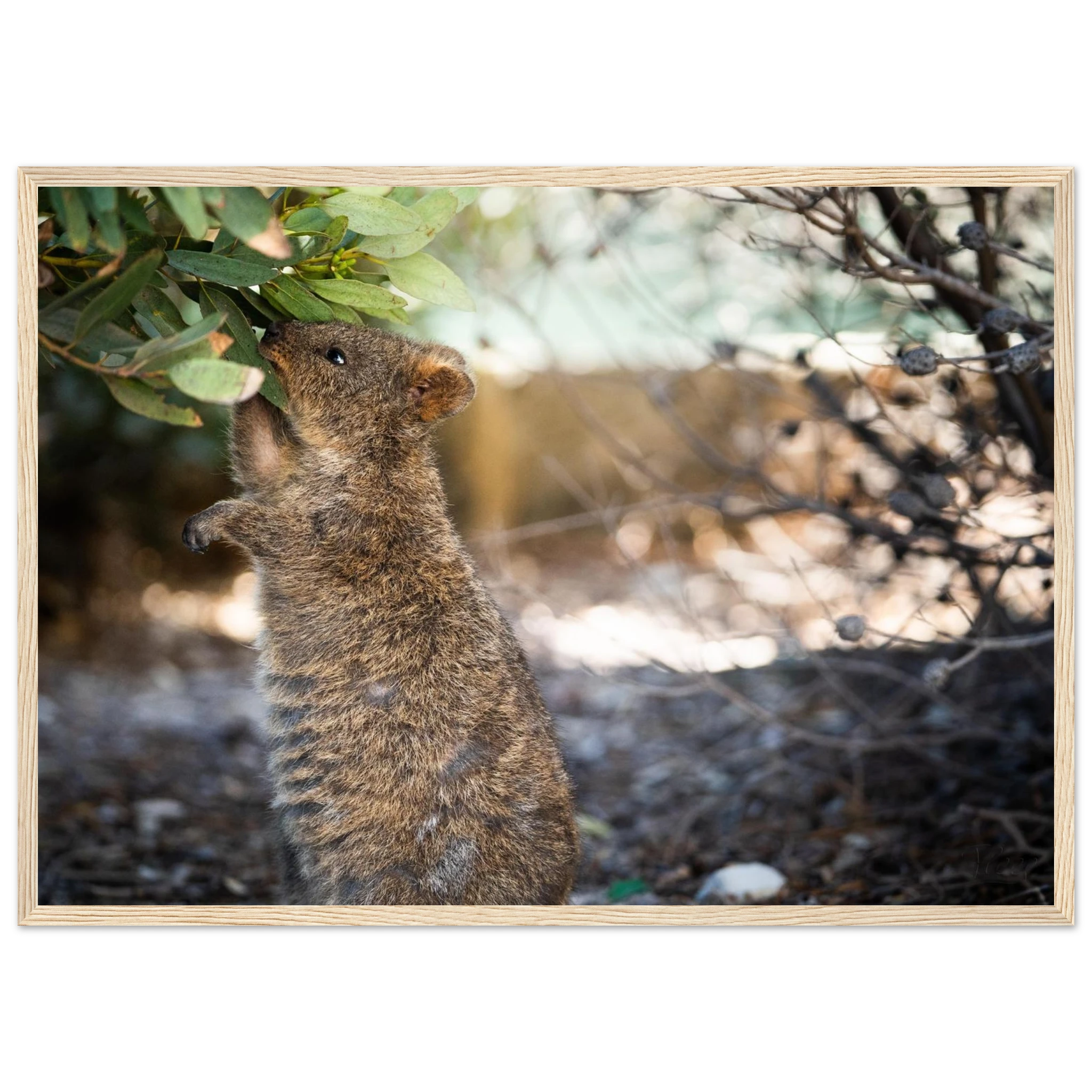 bd717393-6209-451e-8d21-c2dff46ac173