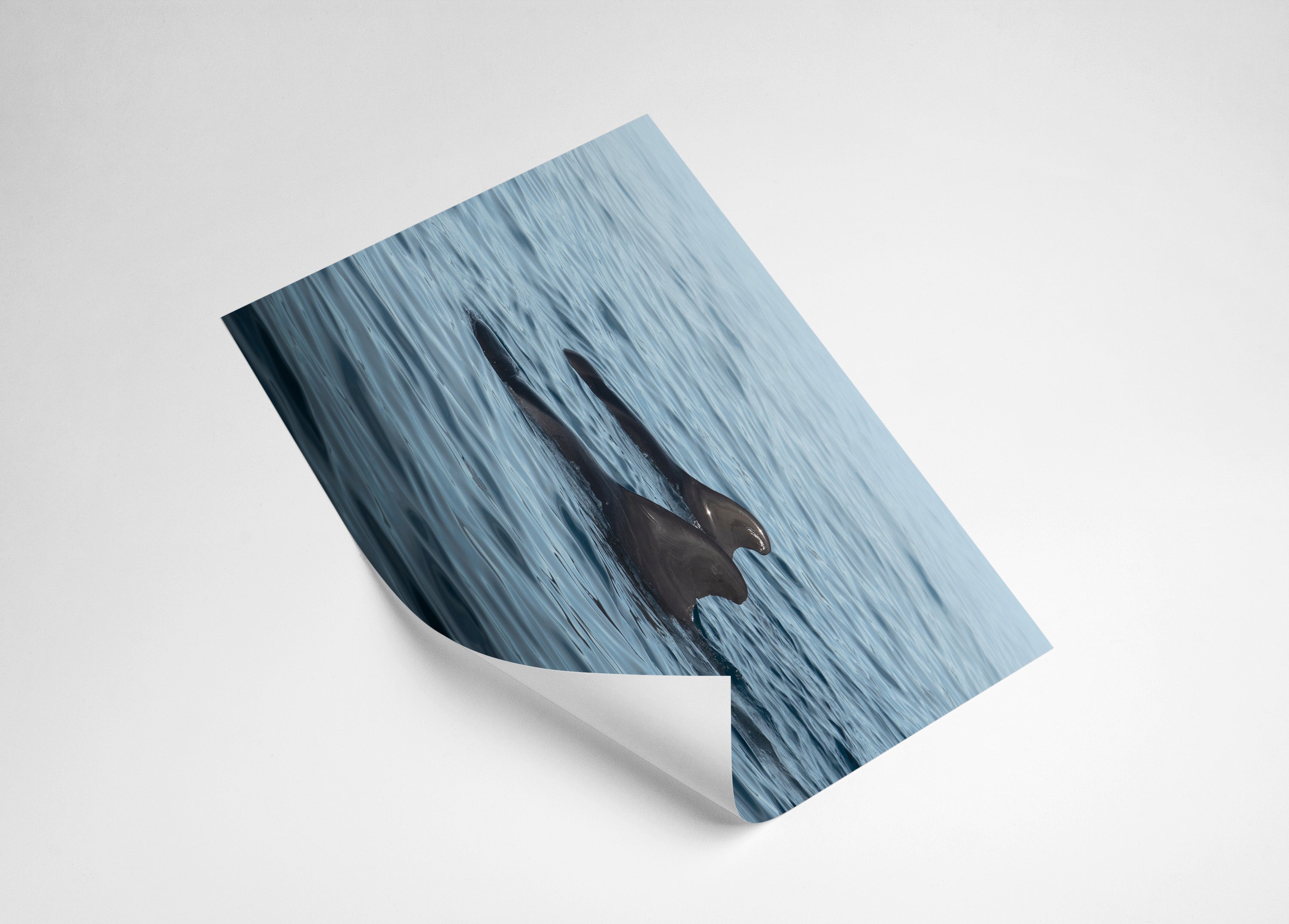 bd837406-0384-4da3-819a-218d83996237