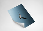 bda16b50-516e-46b3-9880-e5d2fd70985a