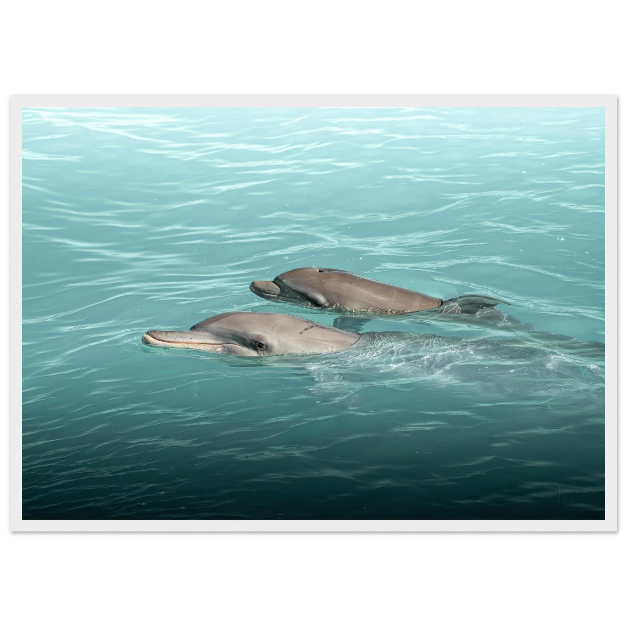 bda27650-c1a1-4273-8af8-1644ec048cae