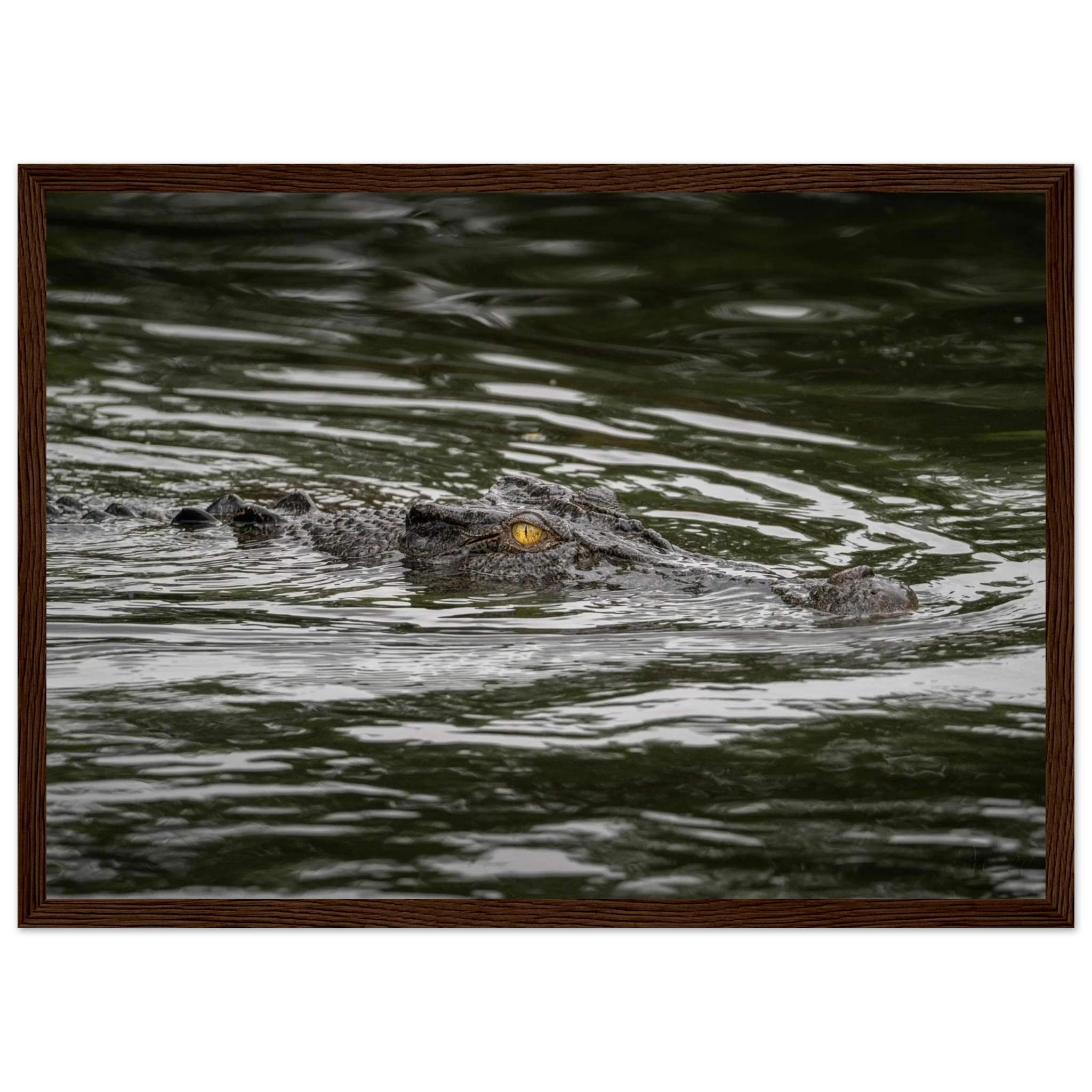 be1e201d-a994-4a2d-a4cd-8758229082ae